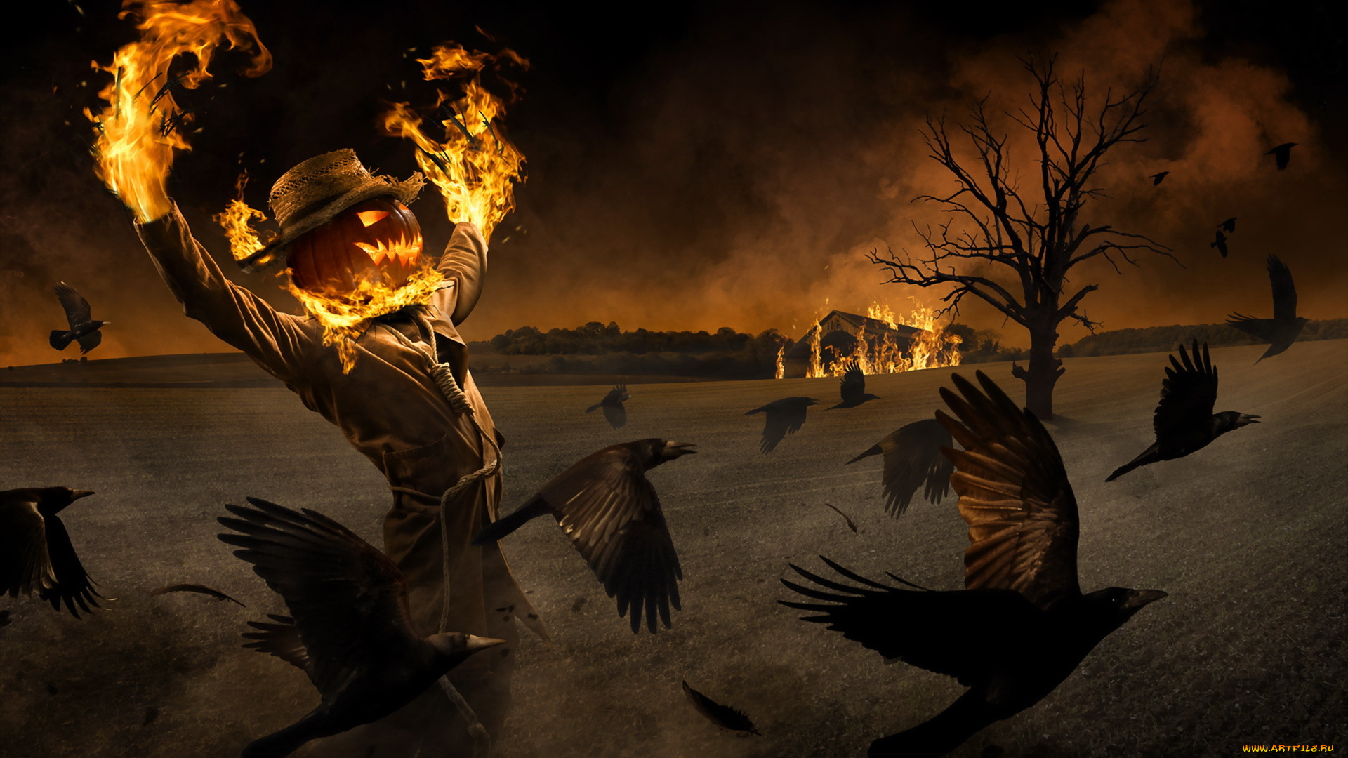 праздничные, хэллоуин, crow, pumpkis, halloween, ravens, fire, care