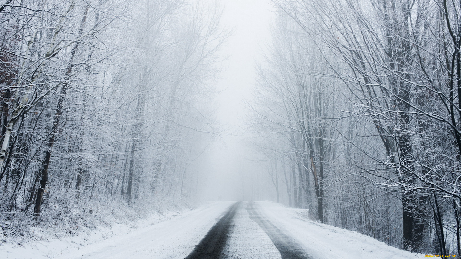 природа, дороги, лес, снег, зима