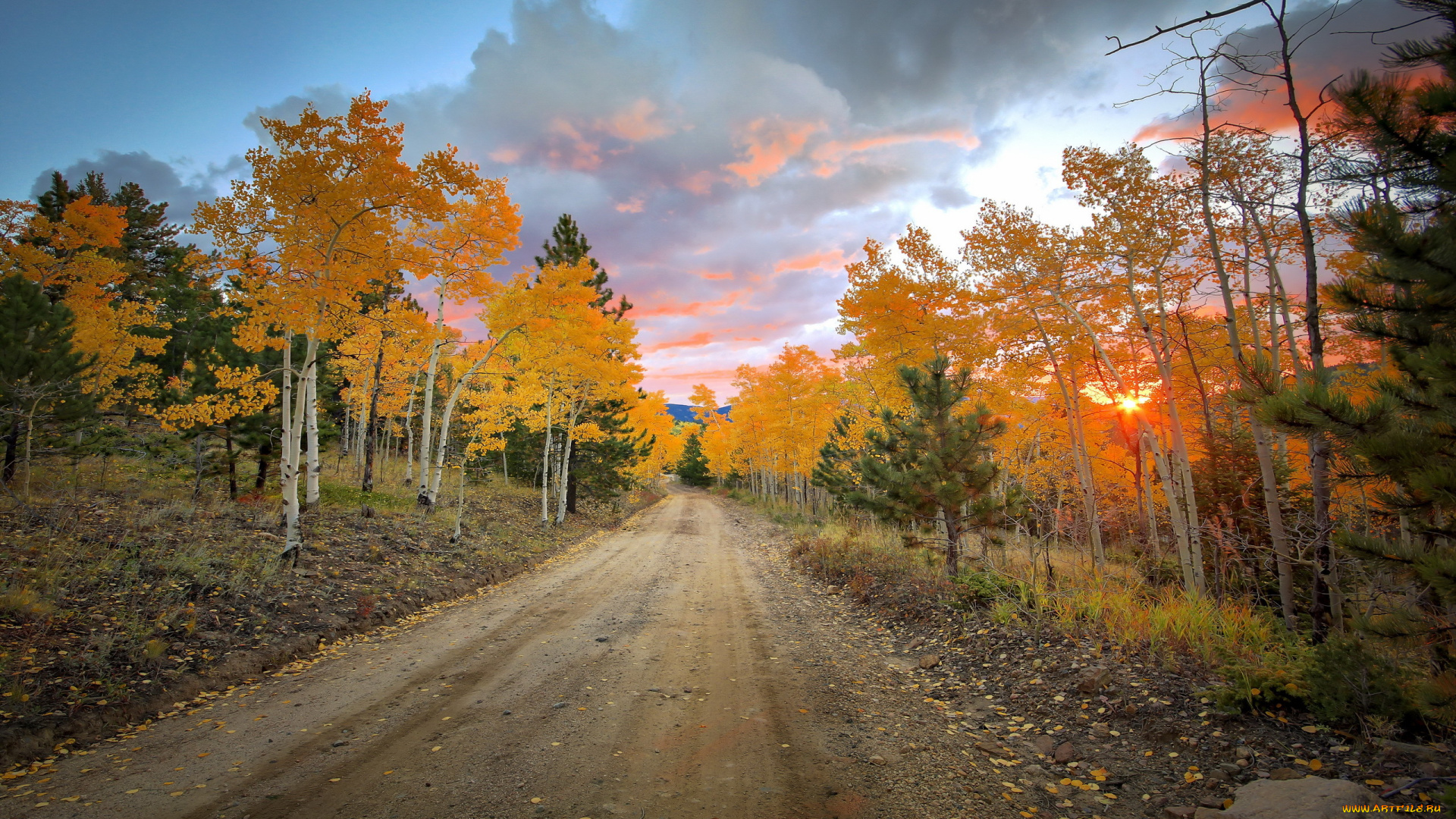 природа, дороги, осень, деревья
