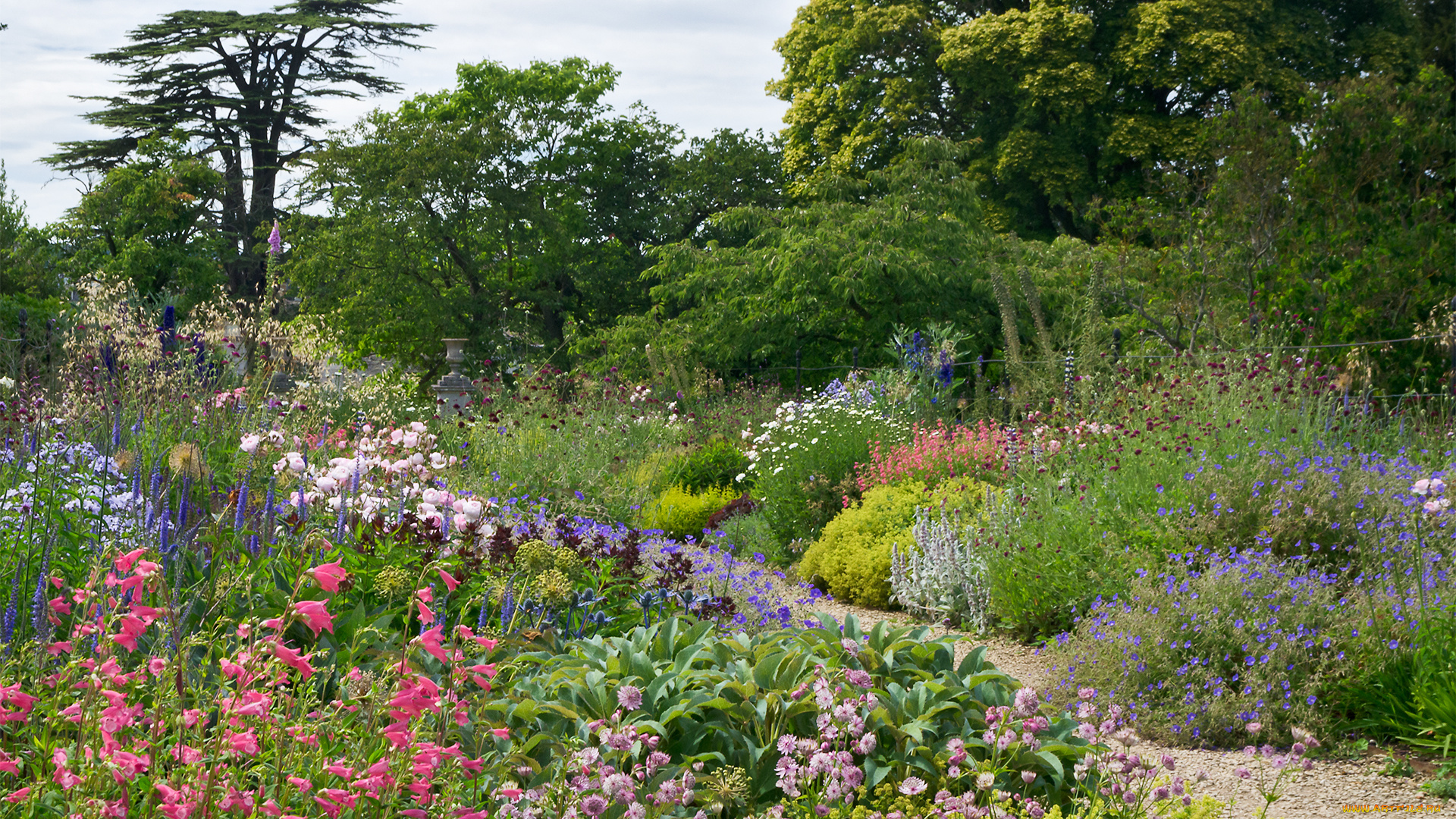 природа, дороги, тропа, деревья, цветы, трава