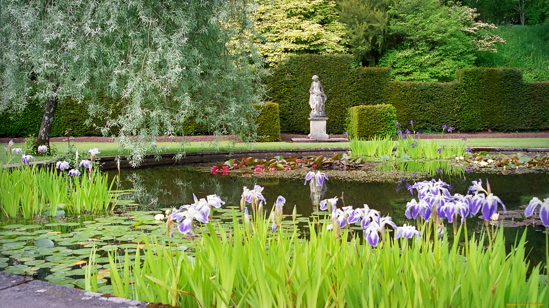 природа, парк, деревья, пруд