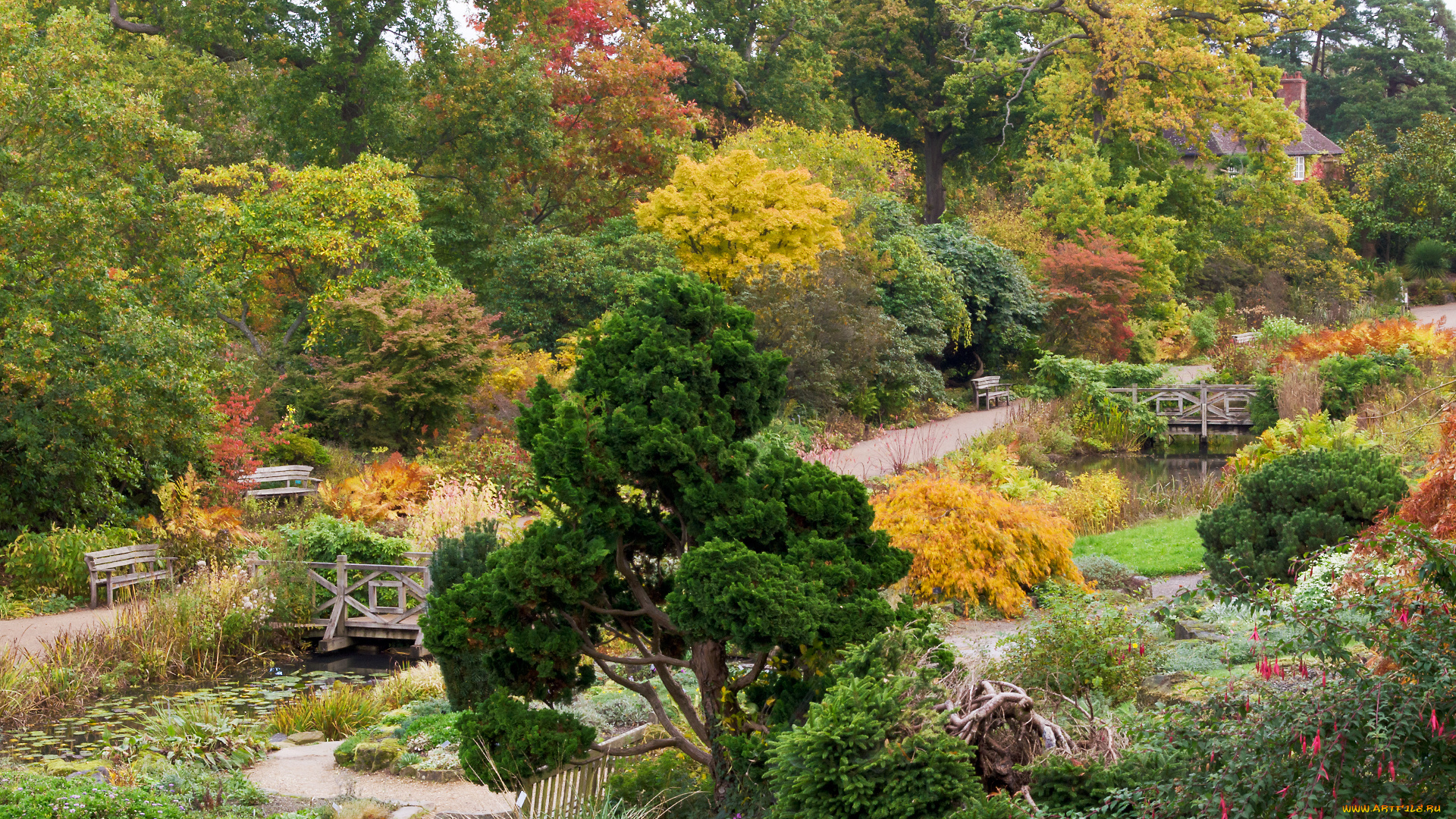 природа, парк, краски, осень, листва