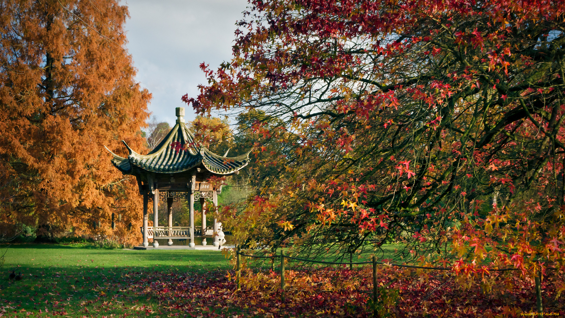 природа, парк, осень, листва, краски