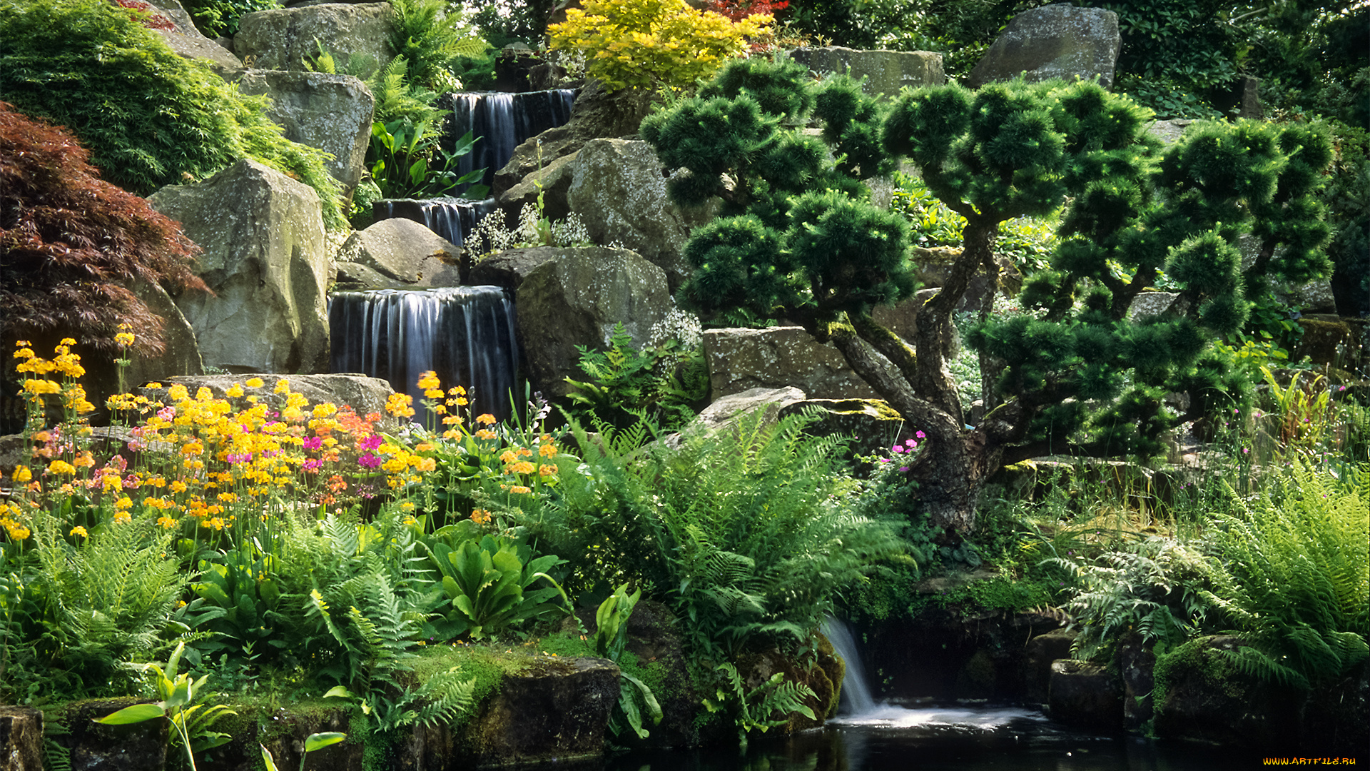 природа, парк, ручей, деревья, пруд