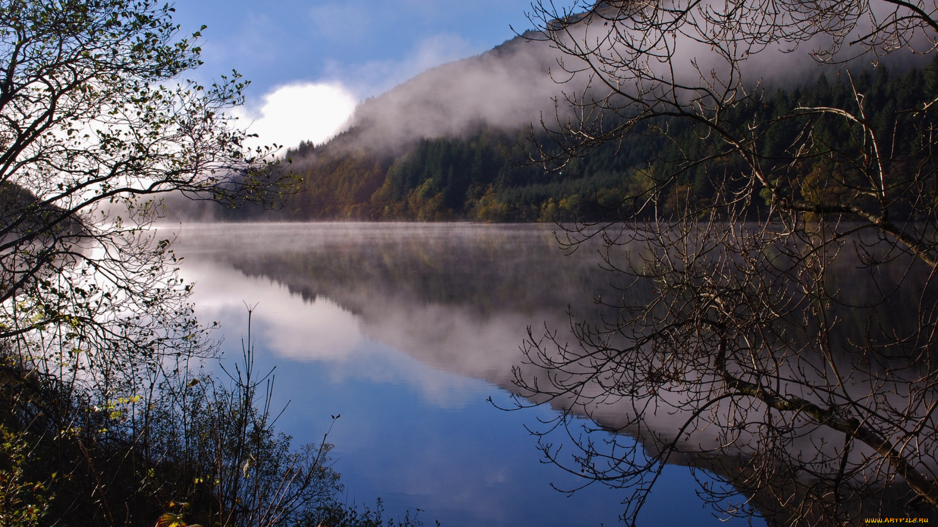 природа, реки, озера, пейзаж, туман, деревья, вода, отражение, небо