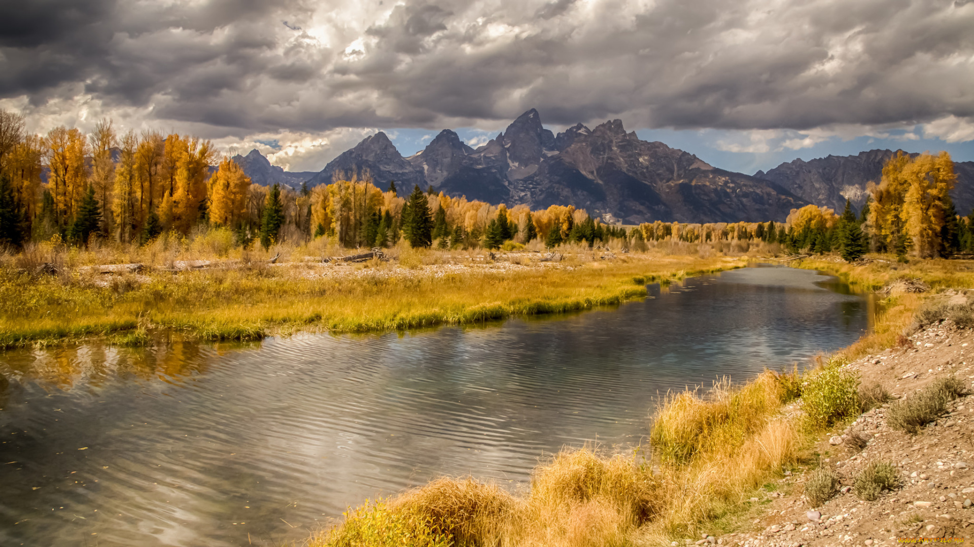 природа, реки, озера, река, лес, горы