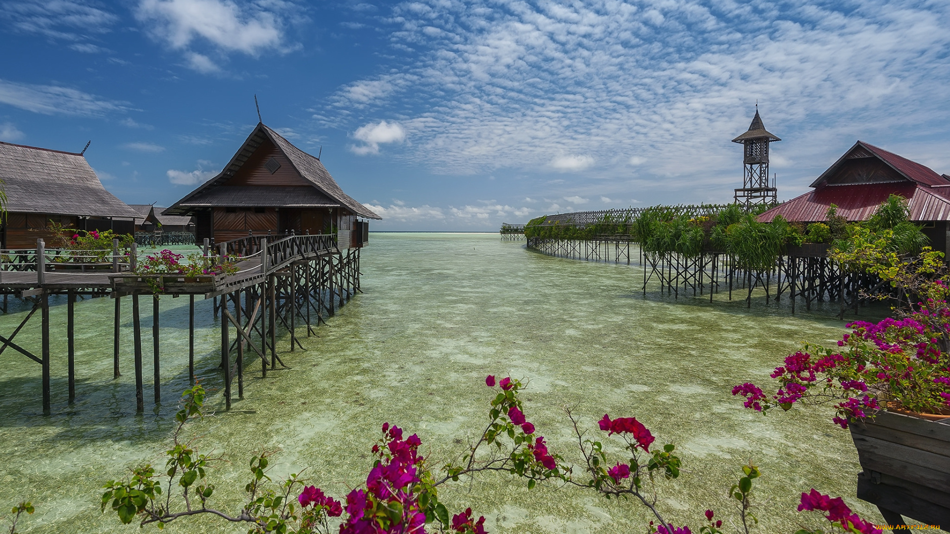 природа, тропики, бунгало, океан