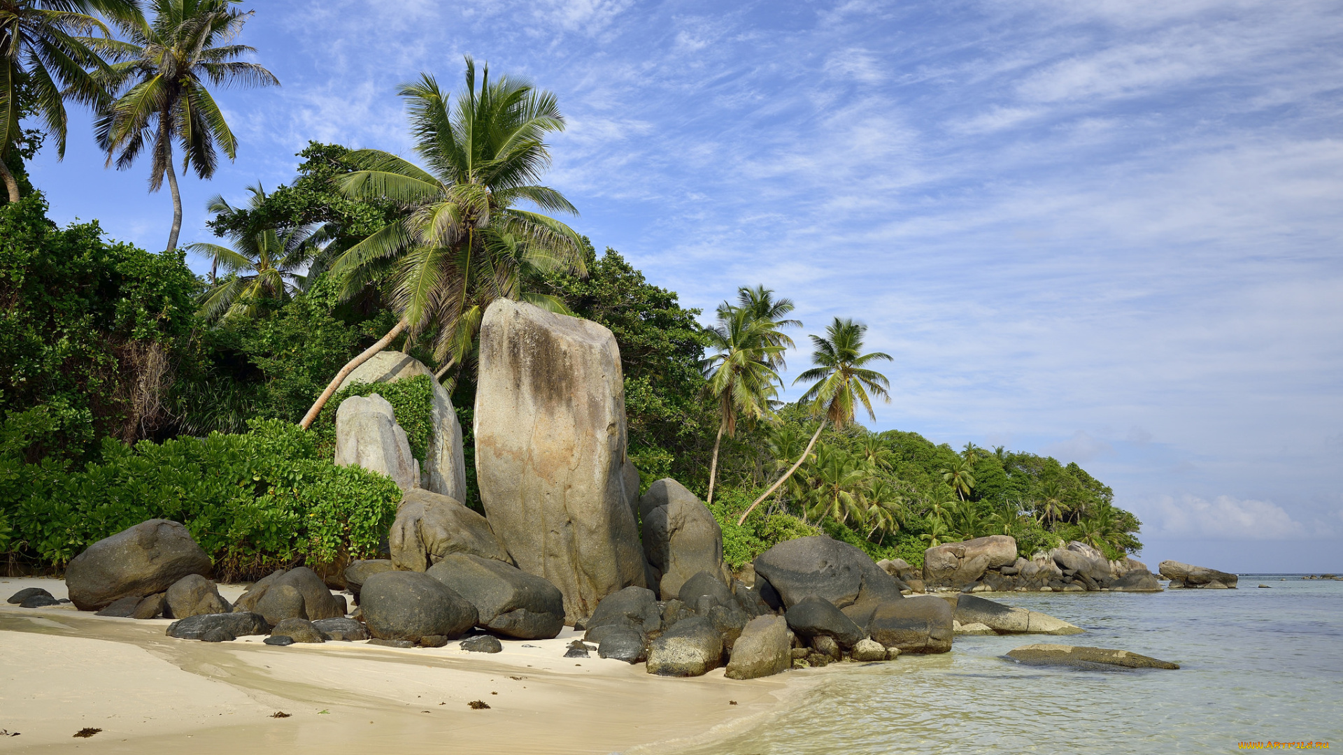 природа, тропики, пальмы, камни, пляж, океан