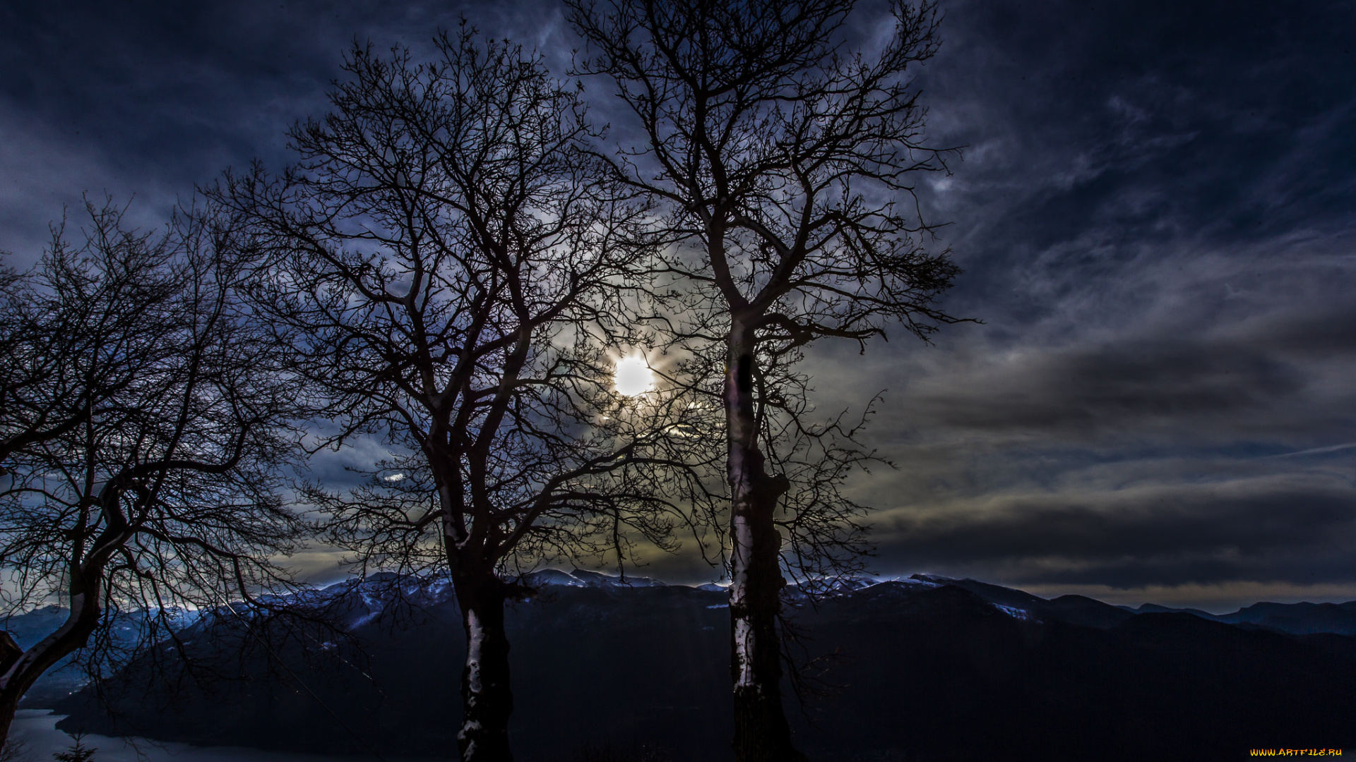 природа, восходы, закаты, пейзаж, деревья, ветки, силуэты, небо, ночь