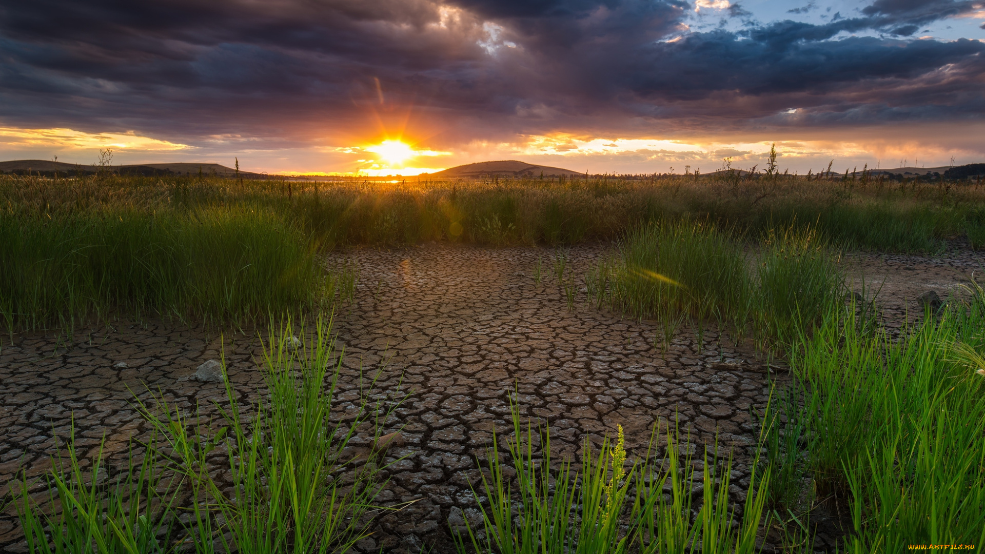 природа, восходы, закаты, солнце, трава, степь