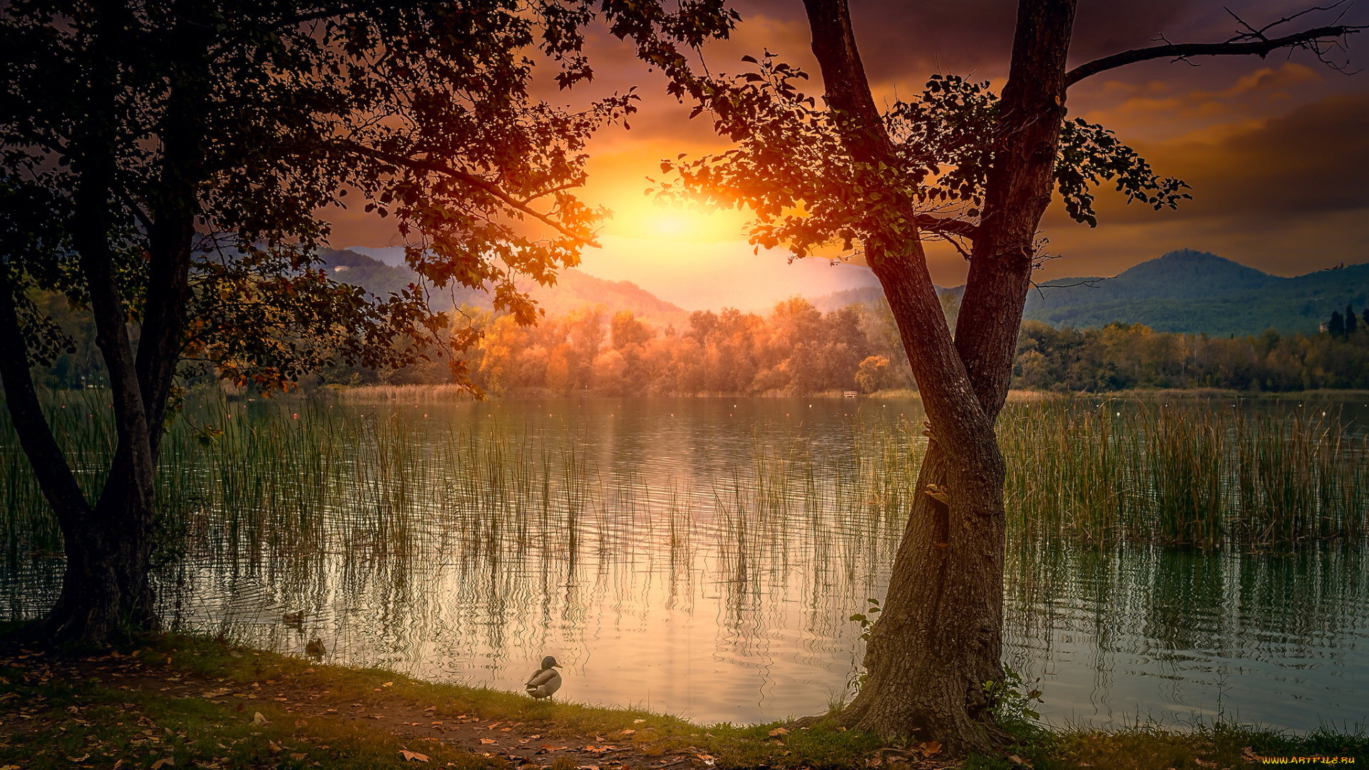 природа, восходы, закаты, зарево, озеро, горы