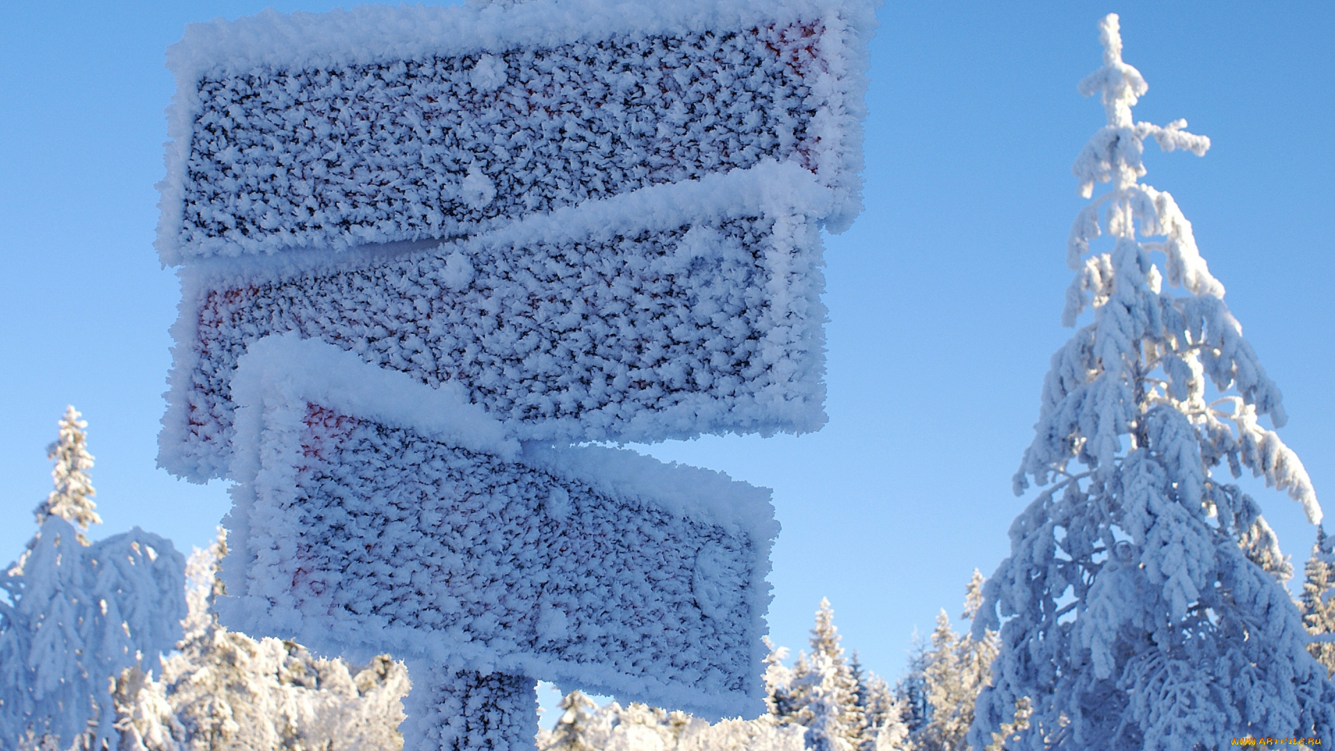 природа, зима, указатели, иней, деревья, снег