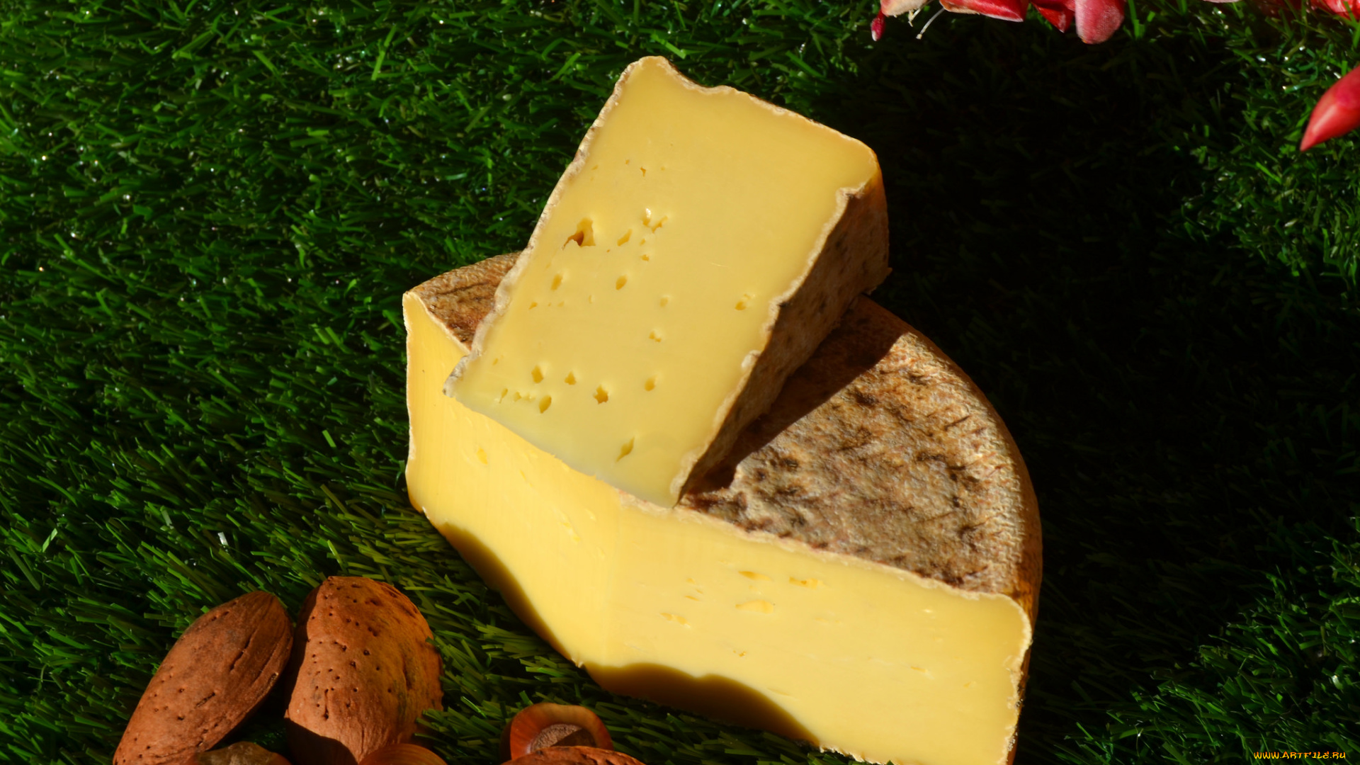 tommette, des, pyreenees, еда, сырные, изделия, сыр