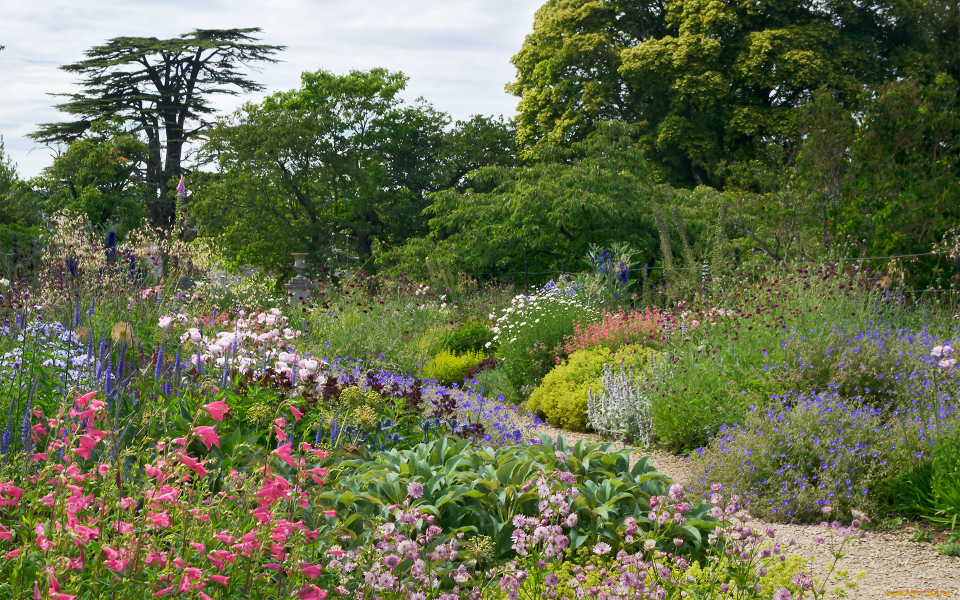 природа, дороги, тропа, деревья, цветы, трава
