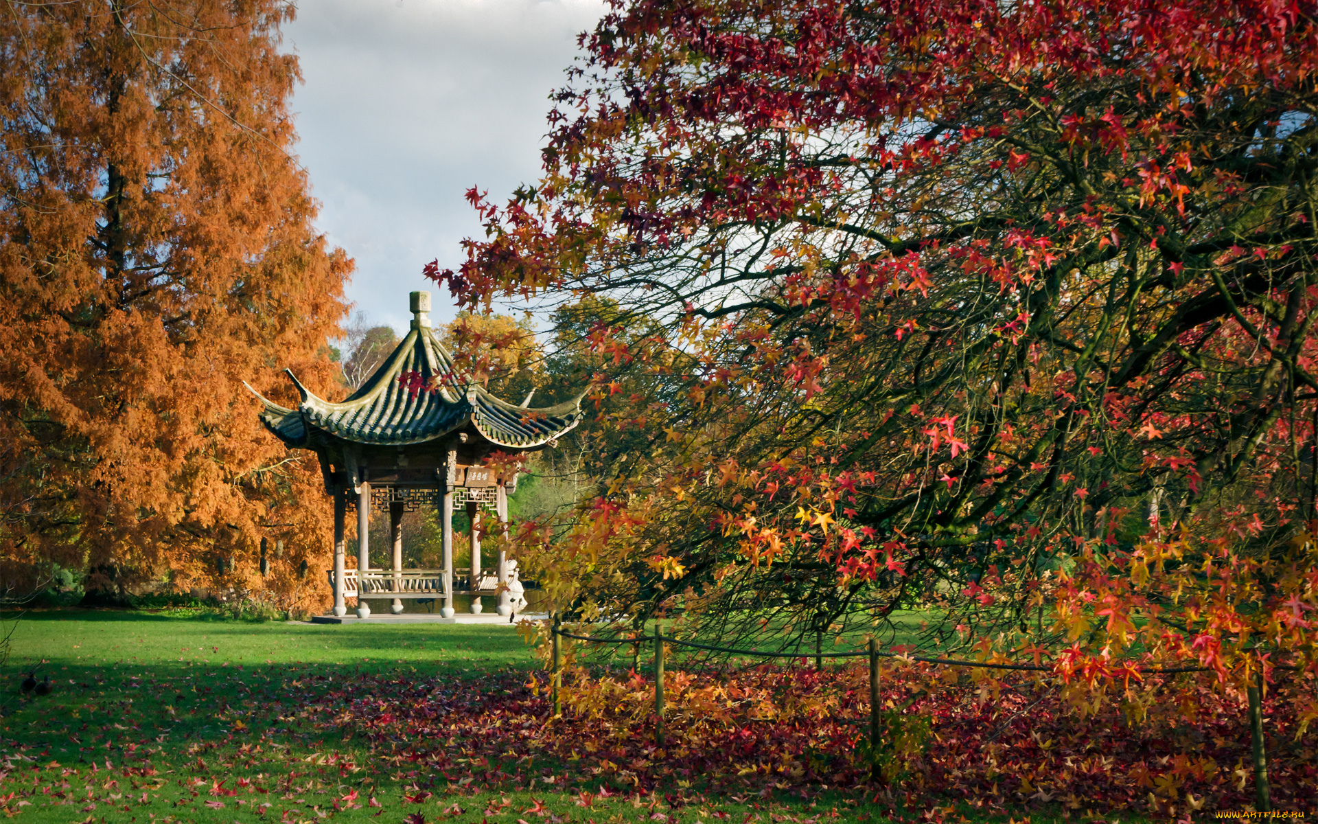 природа, парк, осень, листва, краски