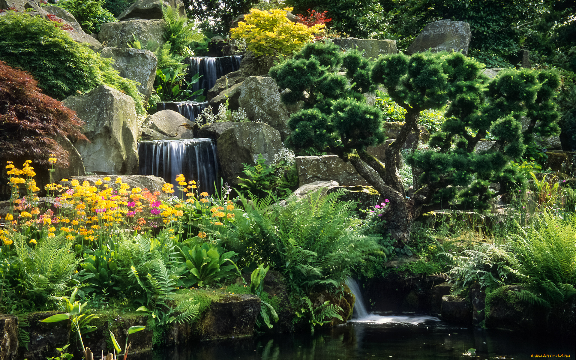 природа, парк, ручей, деревья, пруд