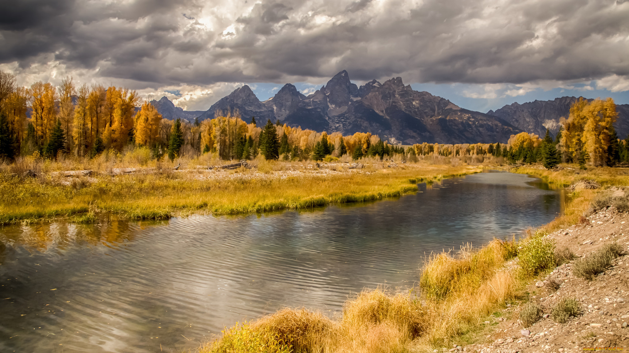 природа, реки, озера, река, лес, горы