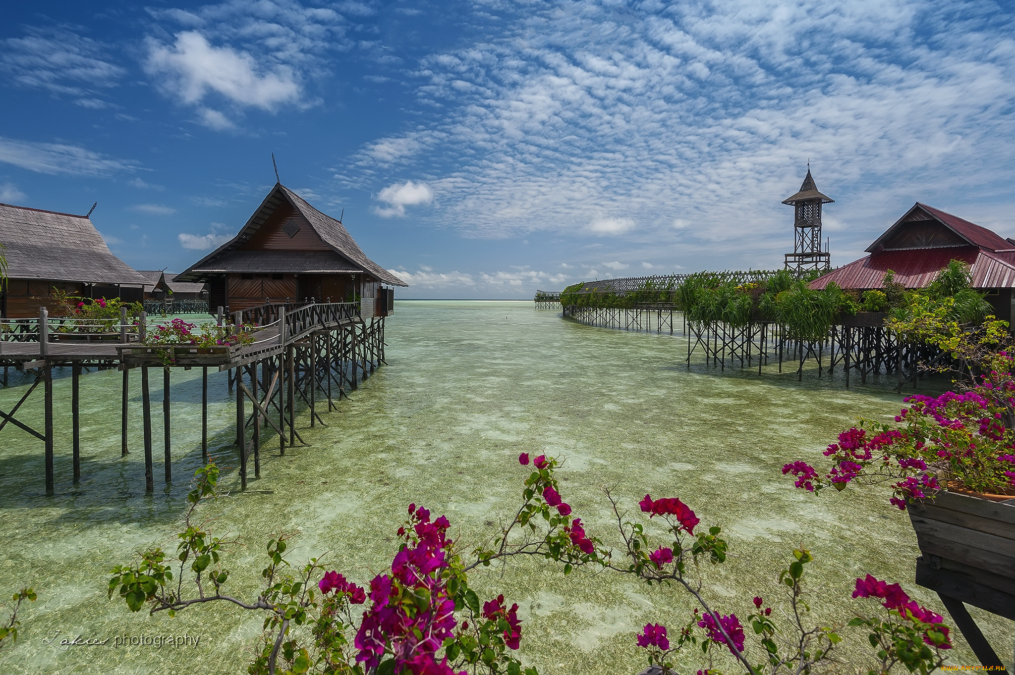 природа, тропики, бунгало, океан