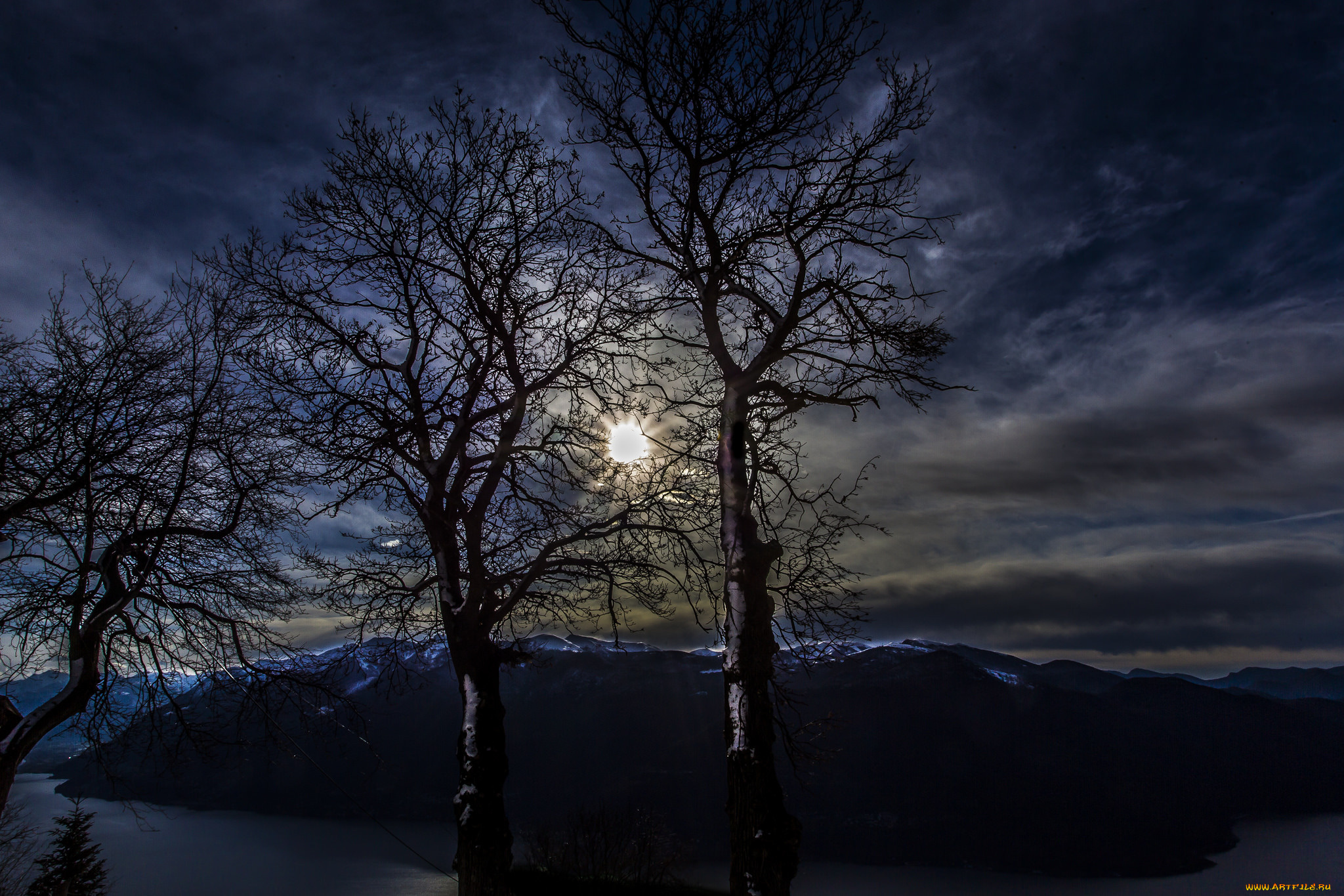 природа, восходы, закаты, пейзаж, деревья, ветки, силуэты, небо, ночь