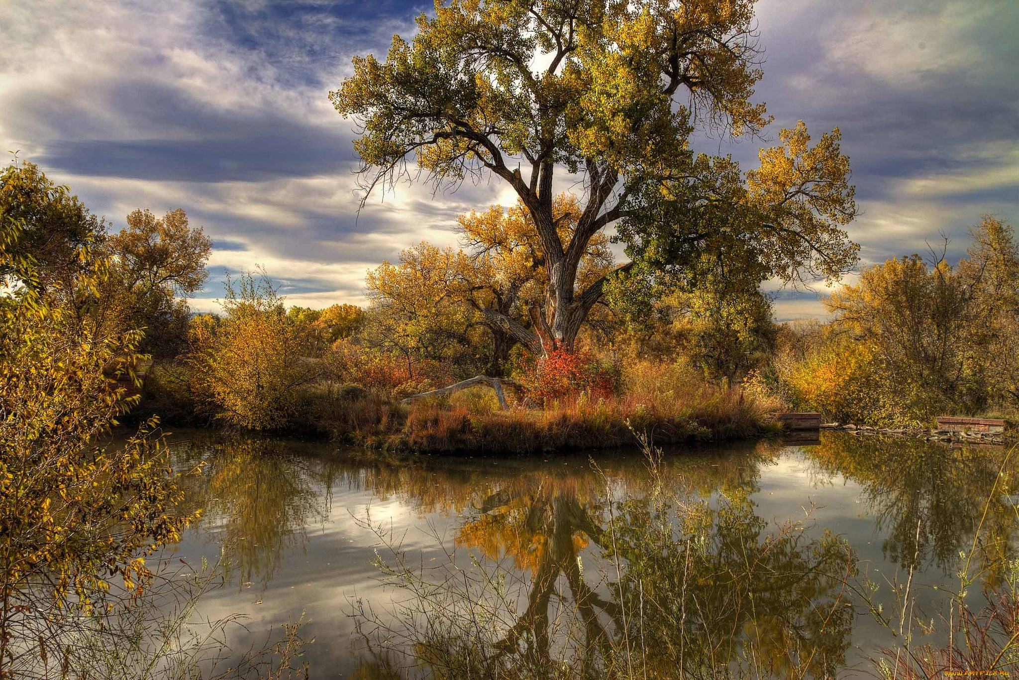 природа, реки, озера, лес, облака, река