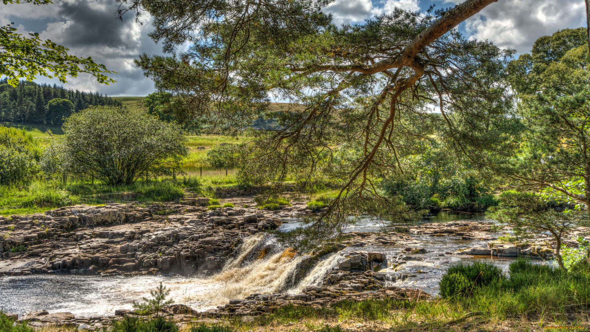 природа, реки, озера, река, лес