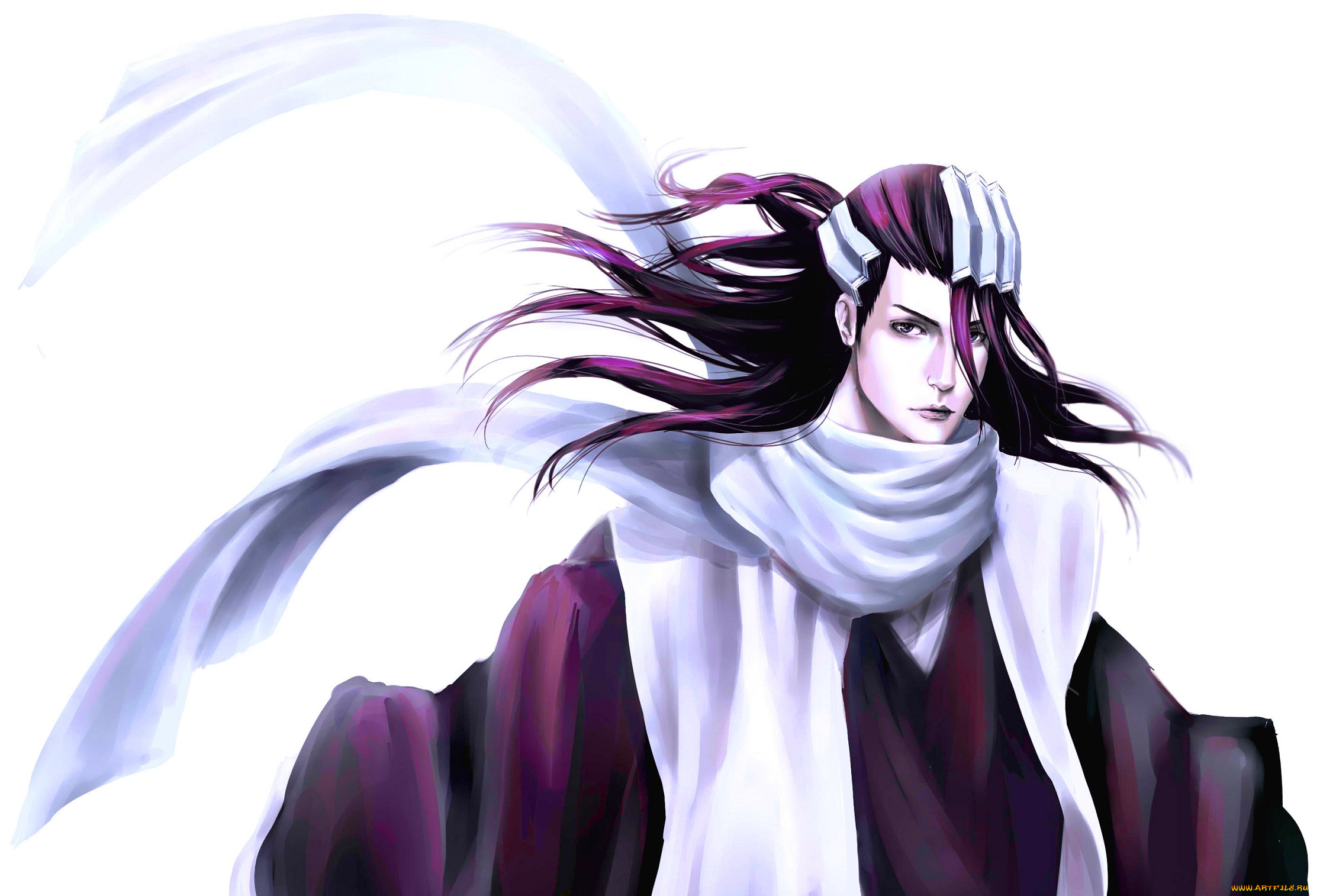 аниме, bleach, бьякуя, кучики