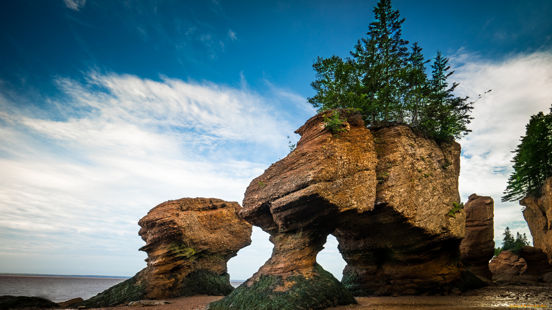 природа, побережье, берег, море