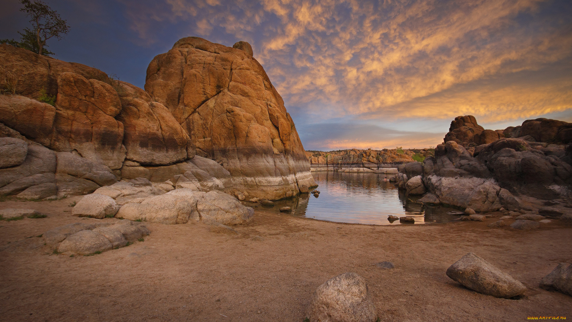 природа, побережье, берег, море