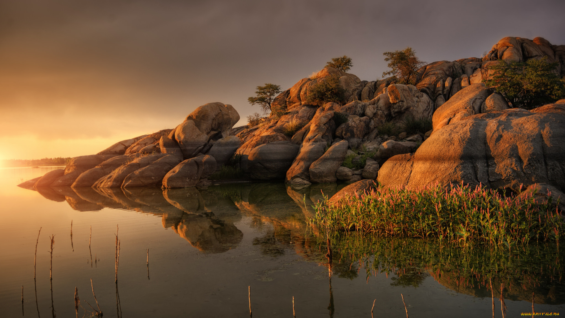 природа, побережье, берег, море