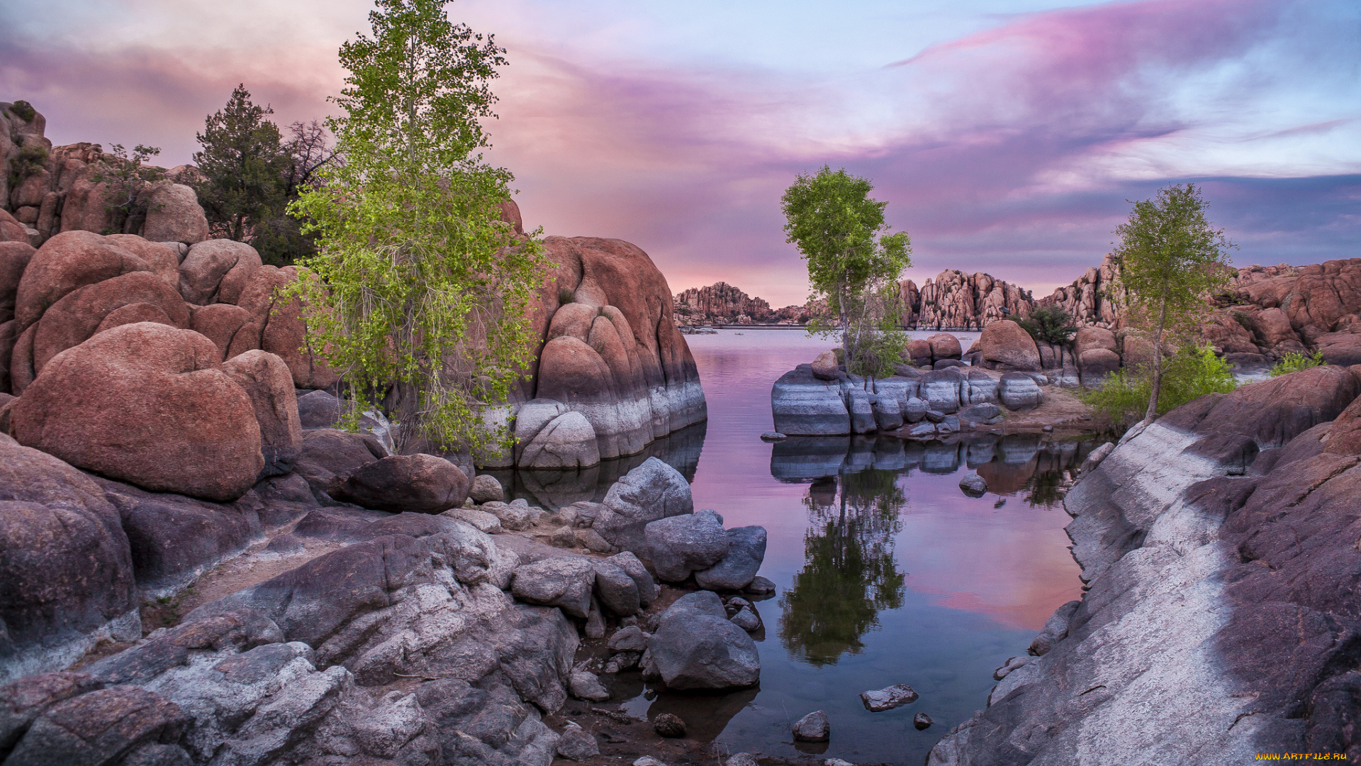 природа, реки, озера, лес, река