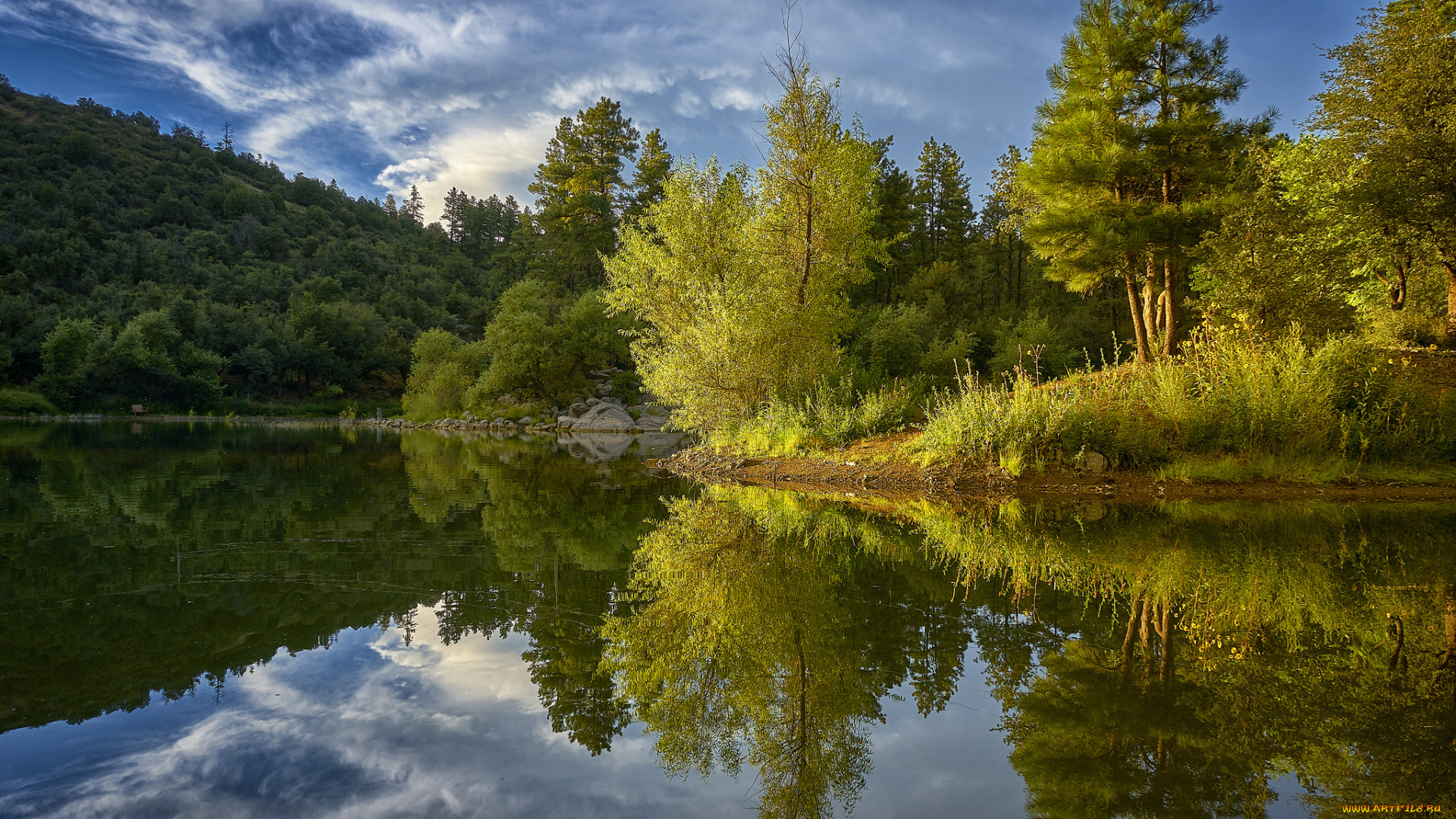 природа, реки, озера, река, лес