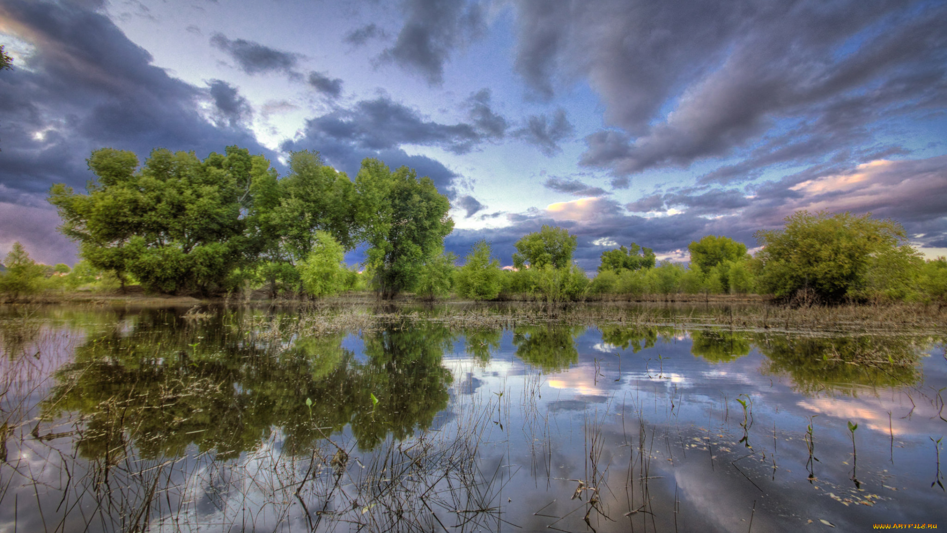 природа, реки, озера, река, лес