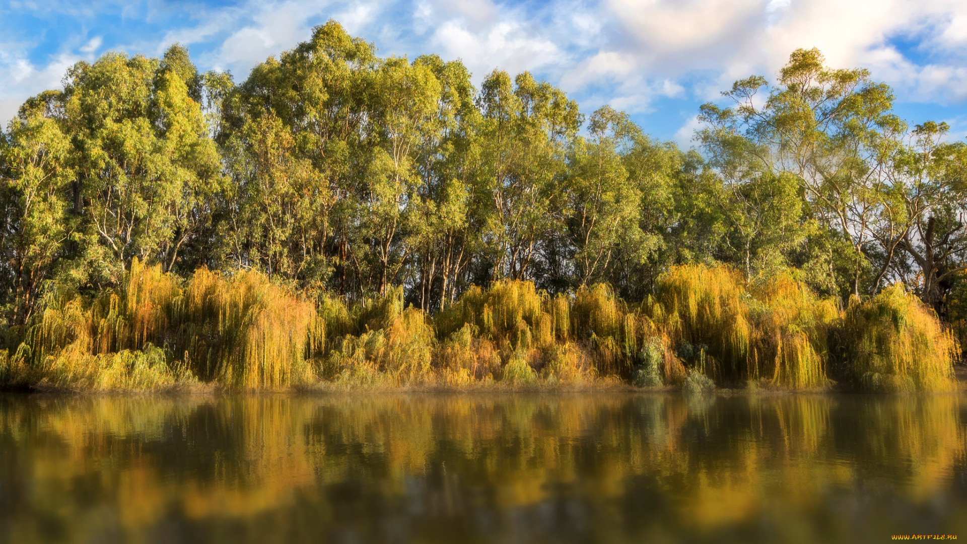 природа, реки, озера, река, лес