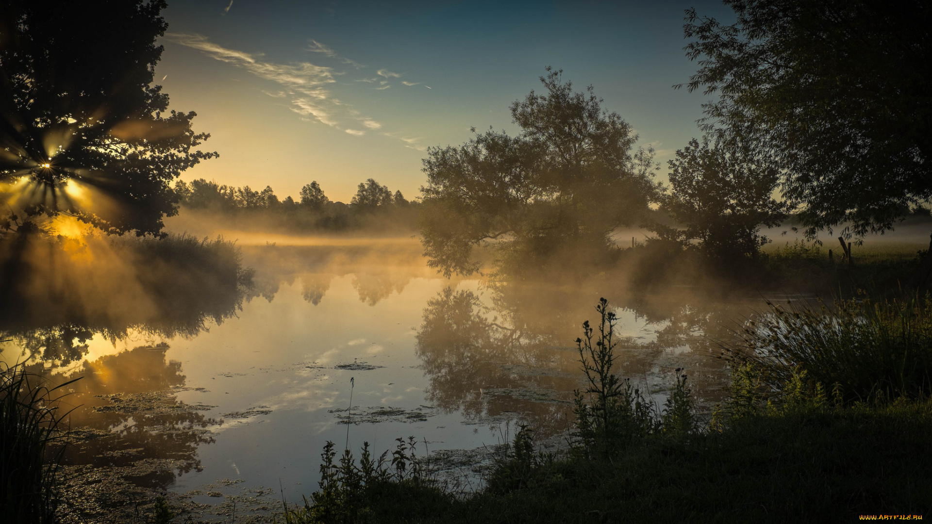 природа, реки, озера, река, лес