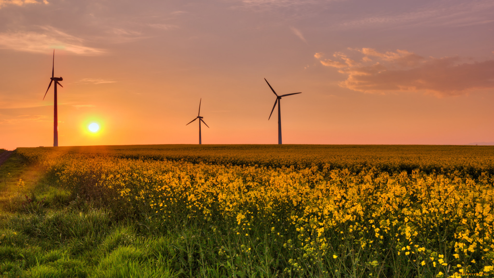 природа, восходы, закаты, рассвет