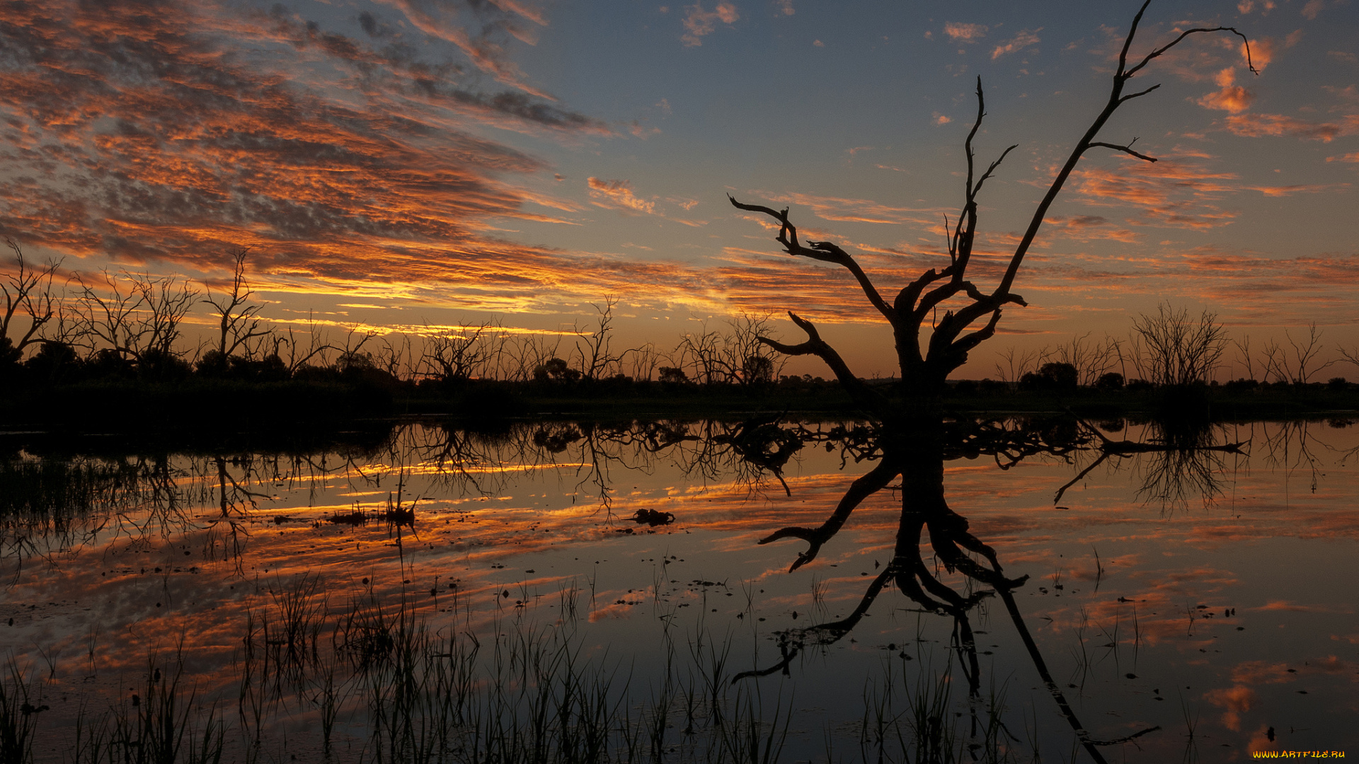 природа, восходы, закаты, рассвет