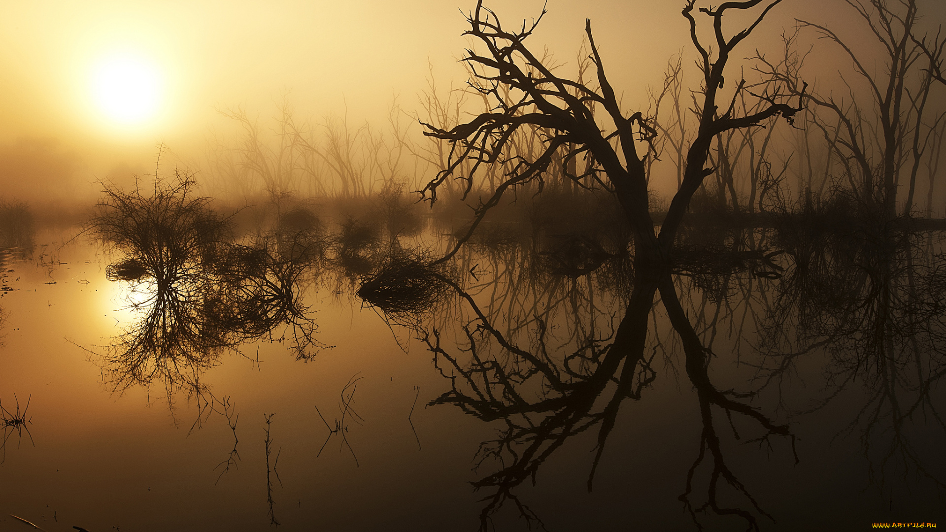 природа, восходы, закаты, рассвет