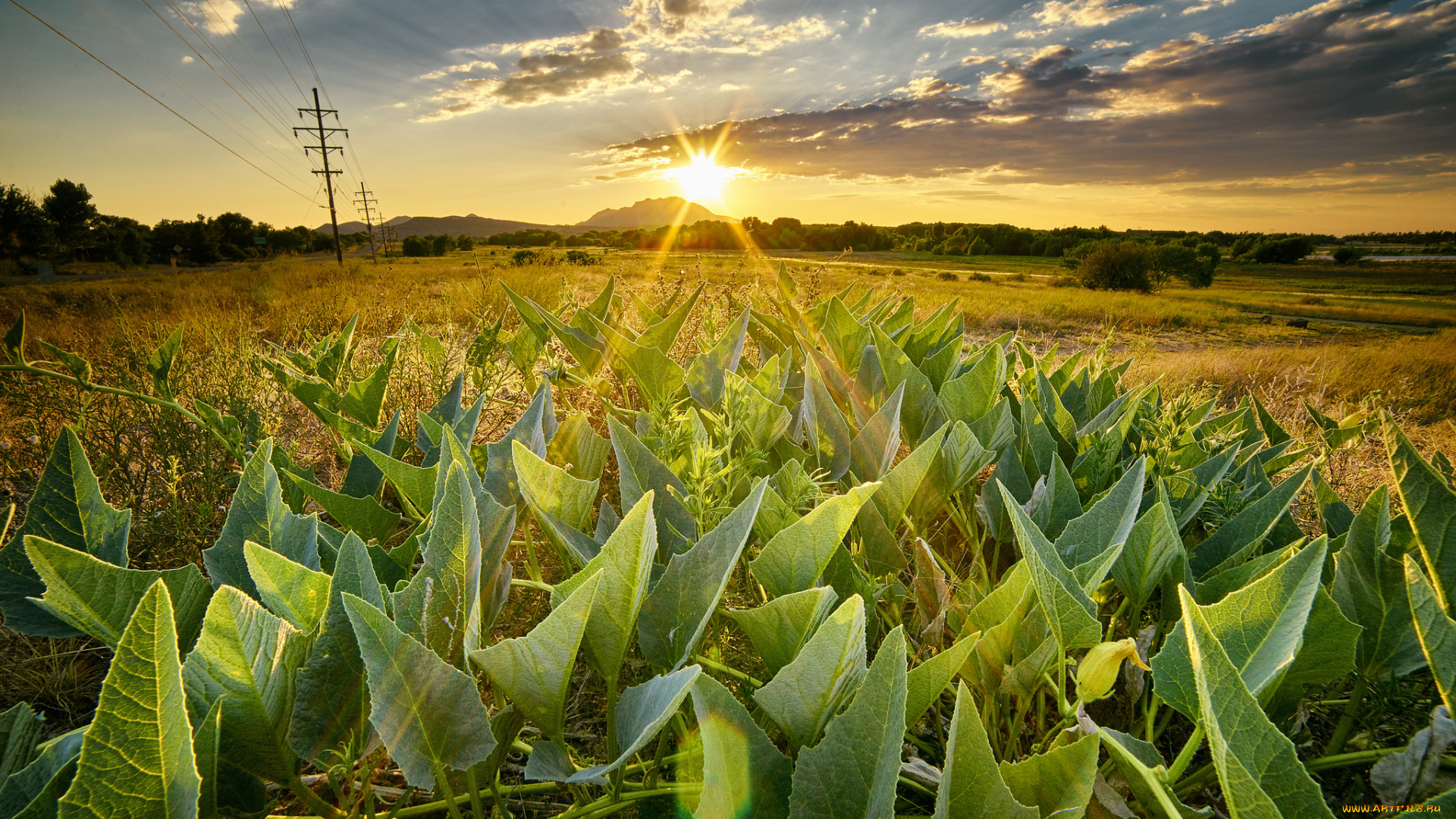 природа, восходы, закаты, рассвет