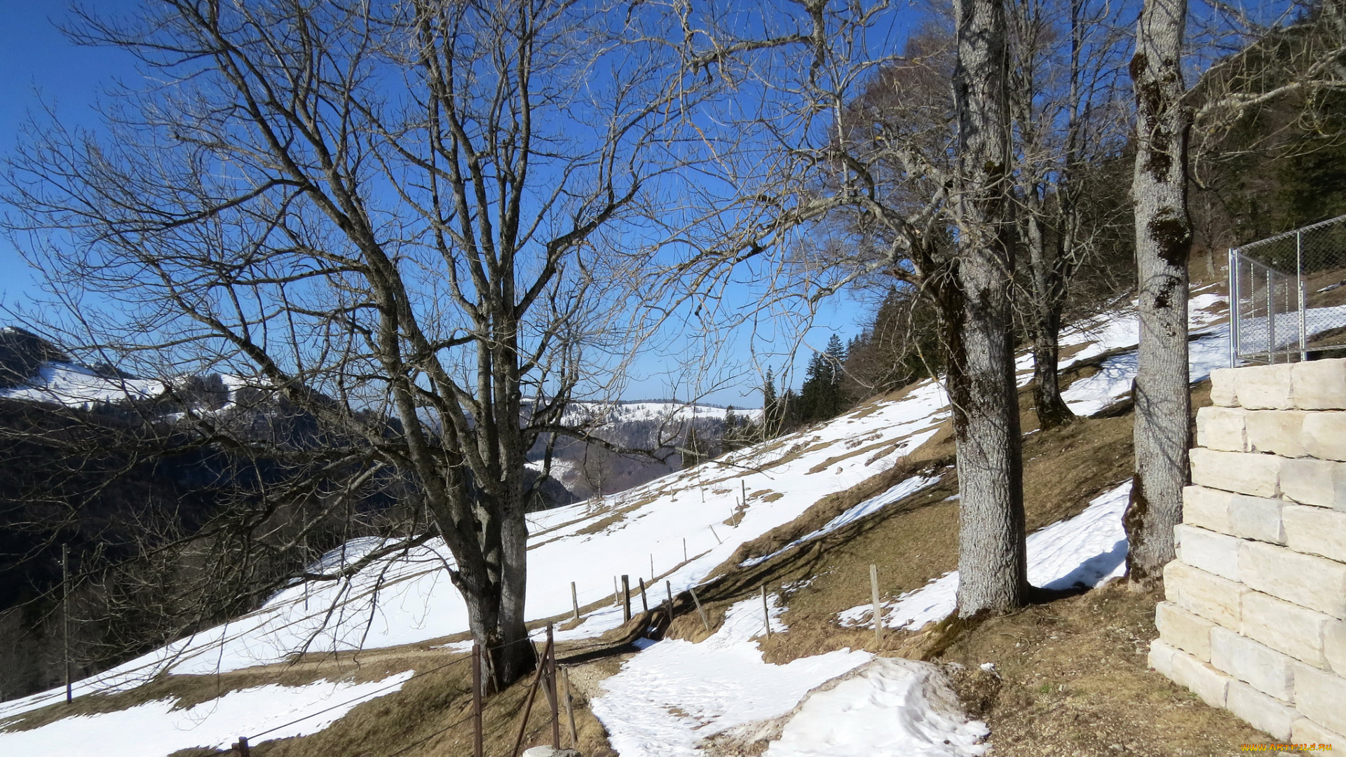 природа, зима, снег, деревья