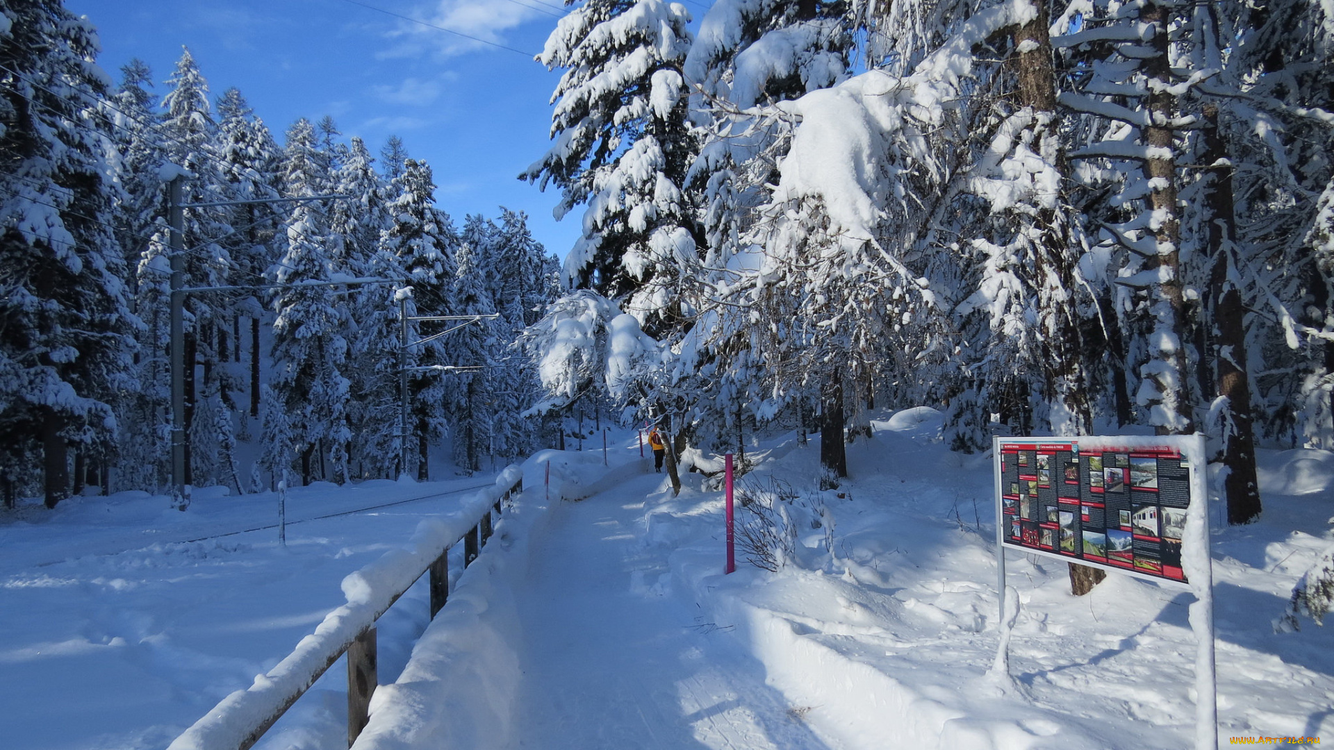 природа, зима, снег, деревья