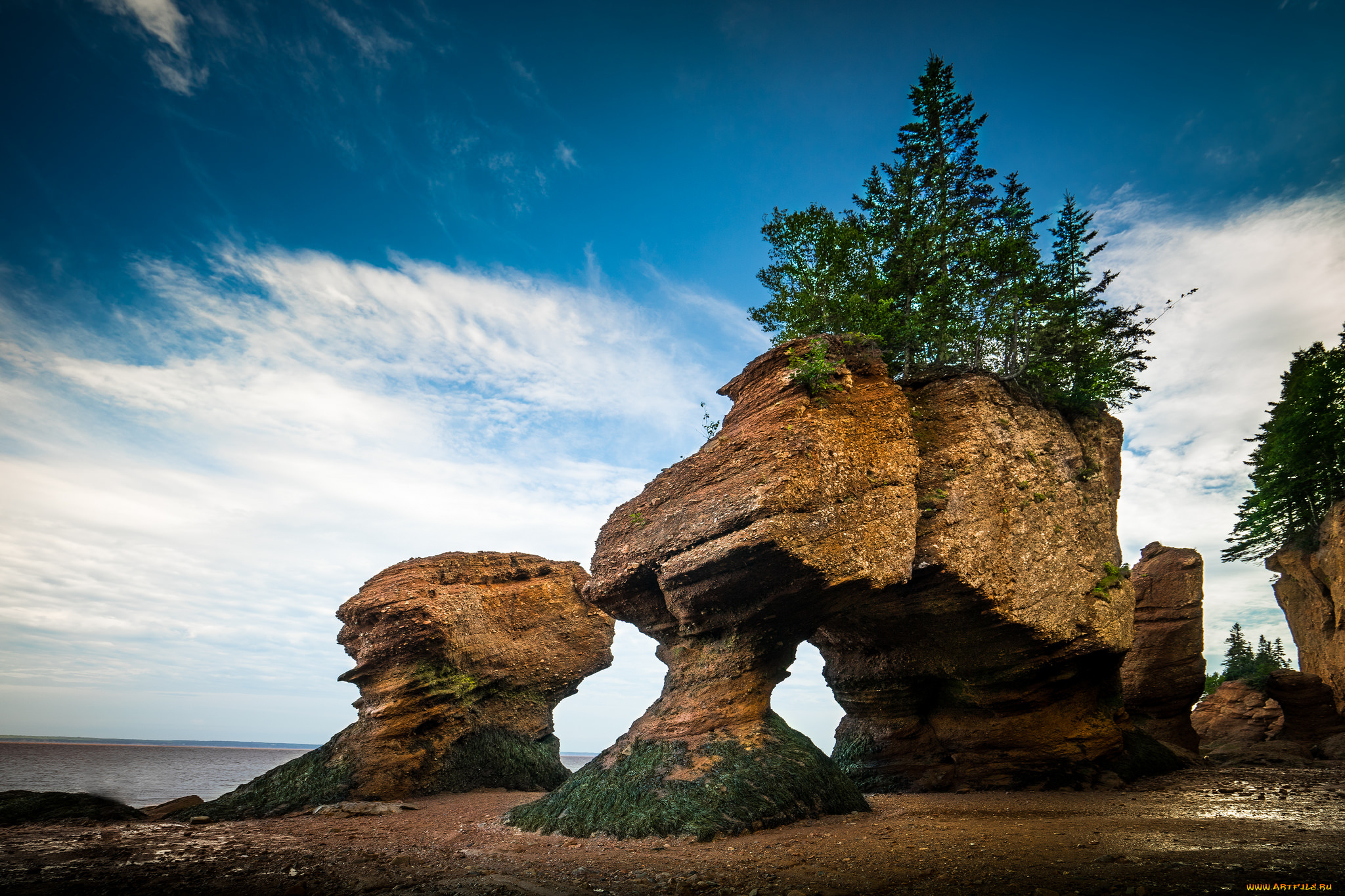 природа, побережье, берег, море