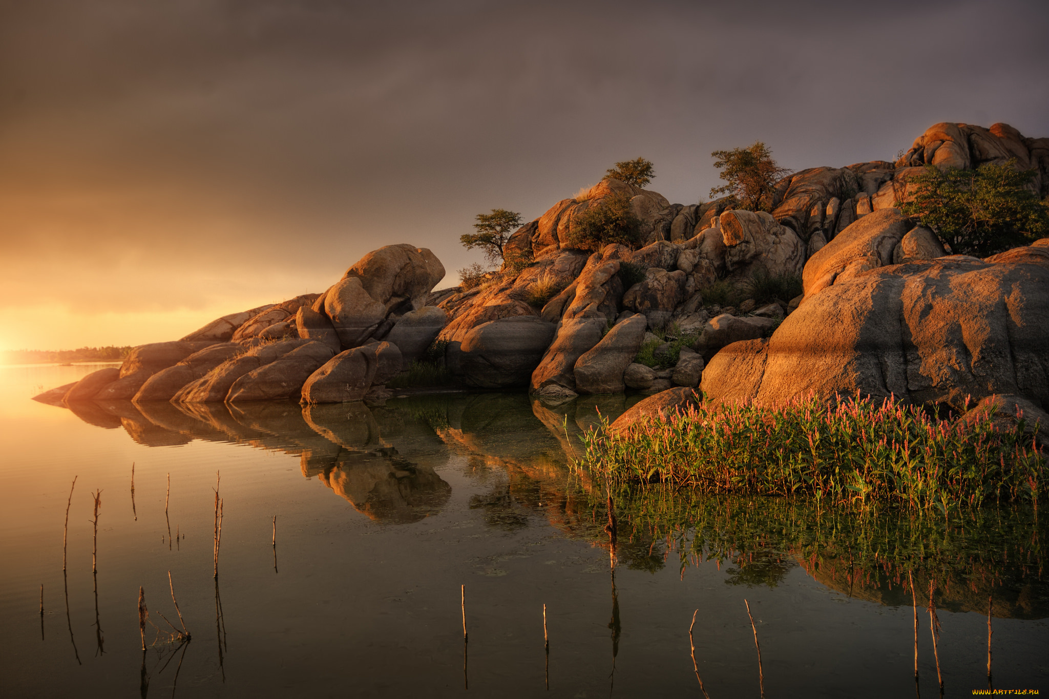 природа, побережье, берег, море