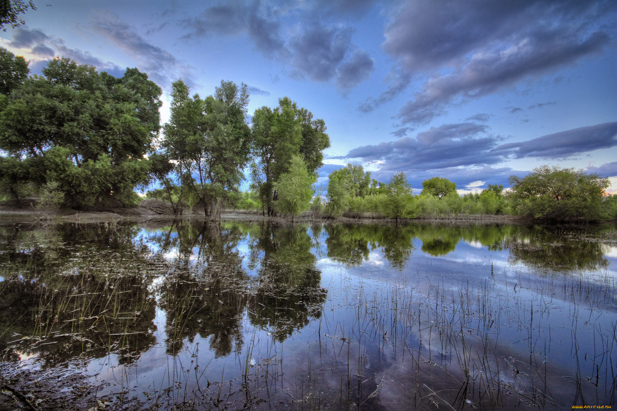 природа, реки, озера, лес, река