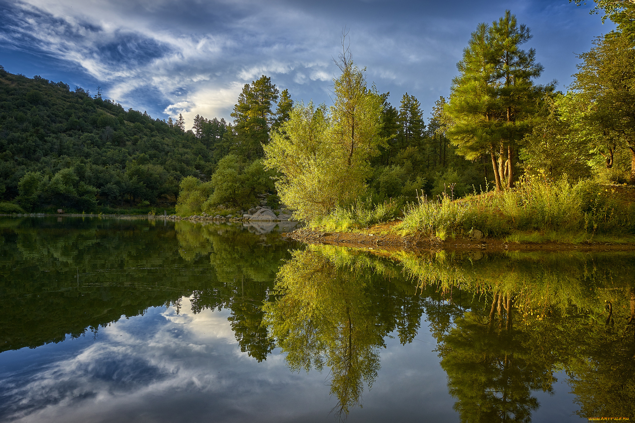 природа, реки, озера, река, лес