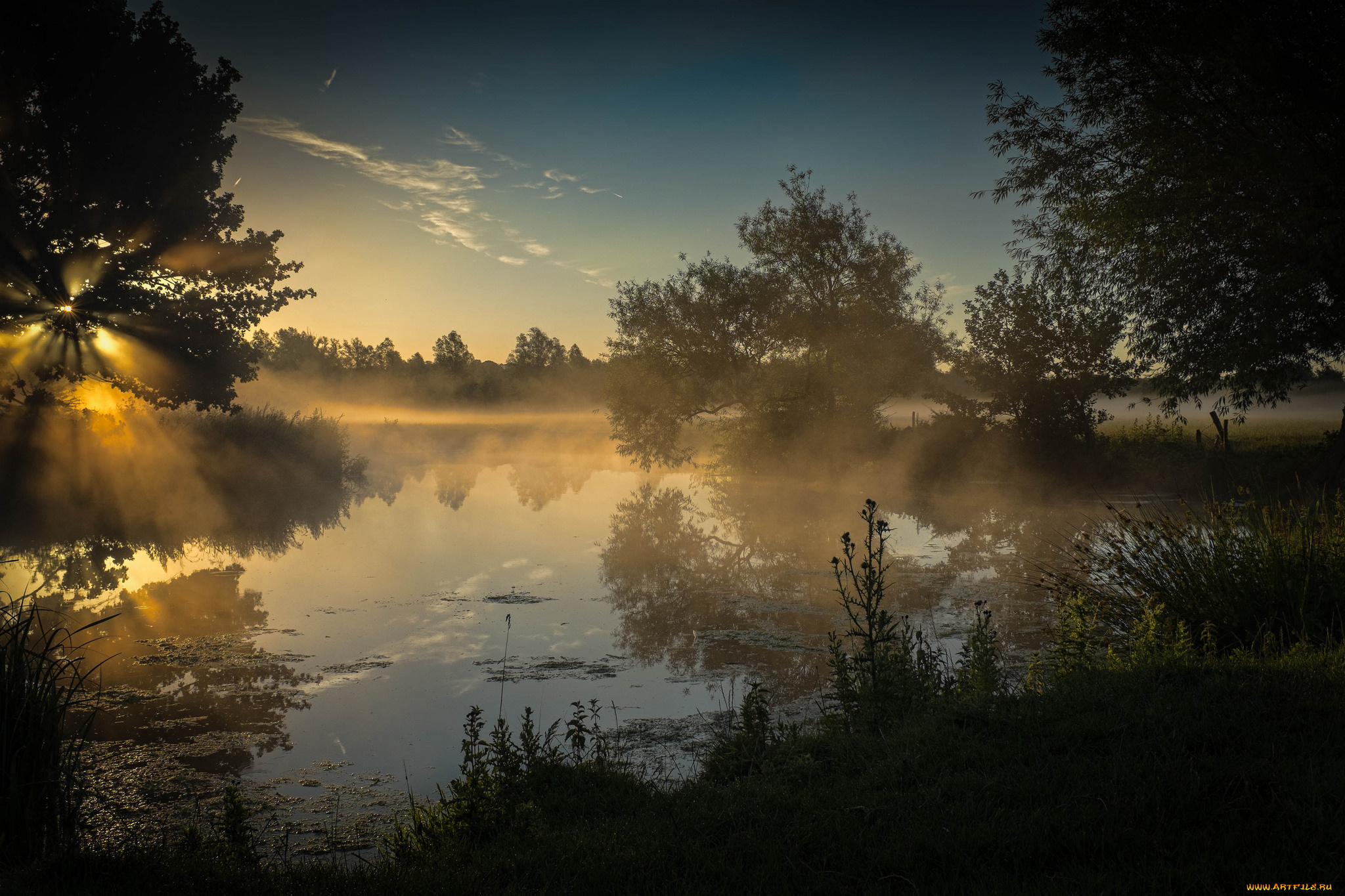 природа, реки, озера, река, лес