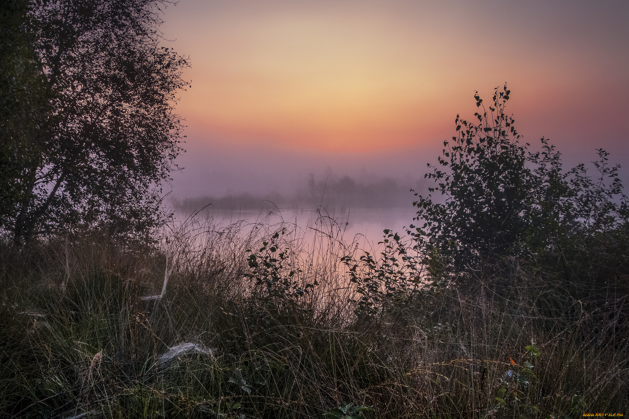 природа, восходы, закаты, рассвет