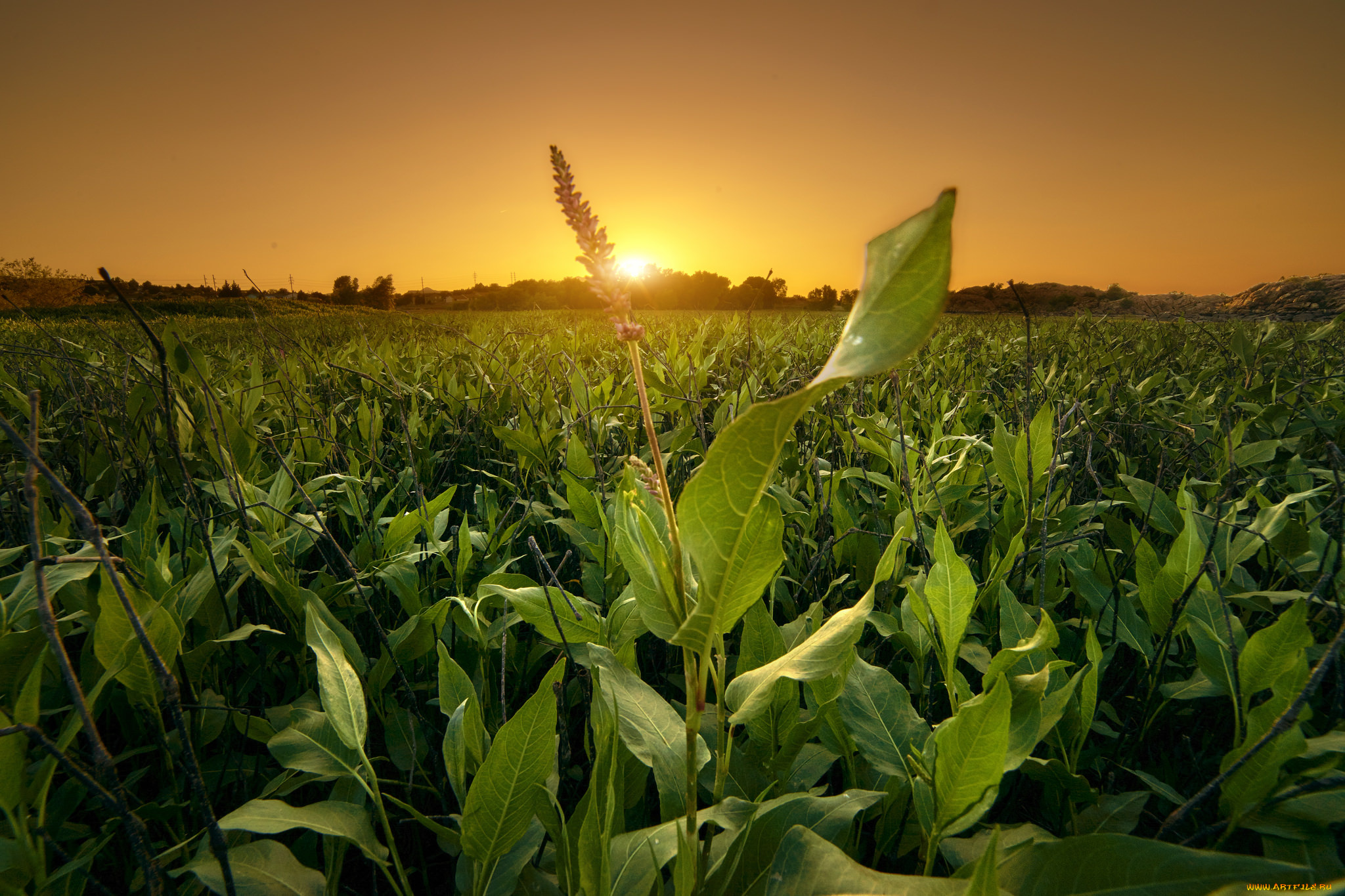 природа, восходы, закаты, рассвет