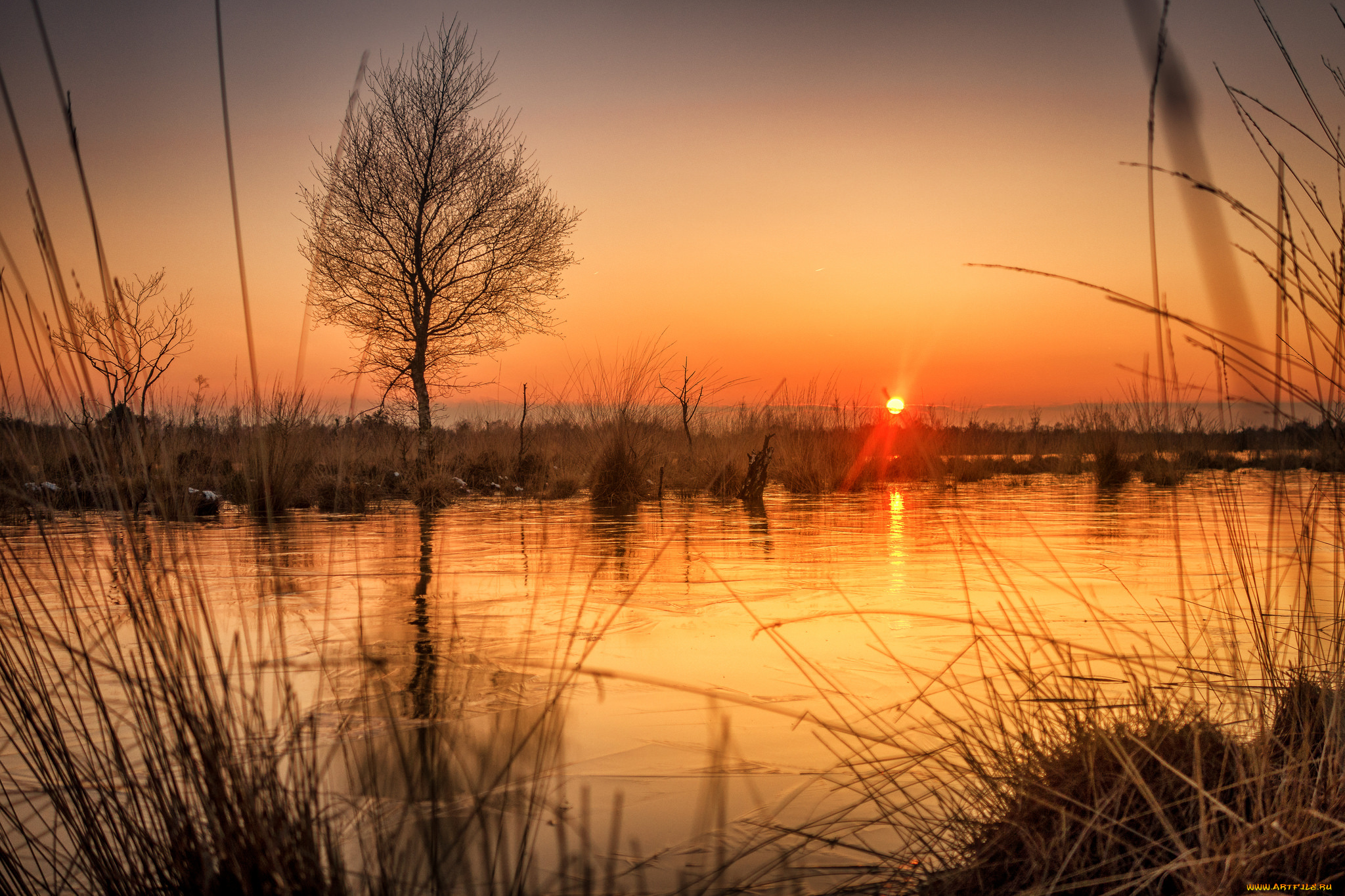 природа, восходы, закаты, рассвет