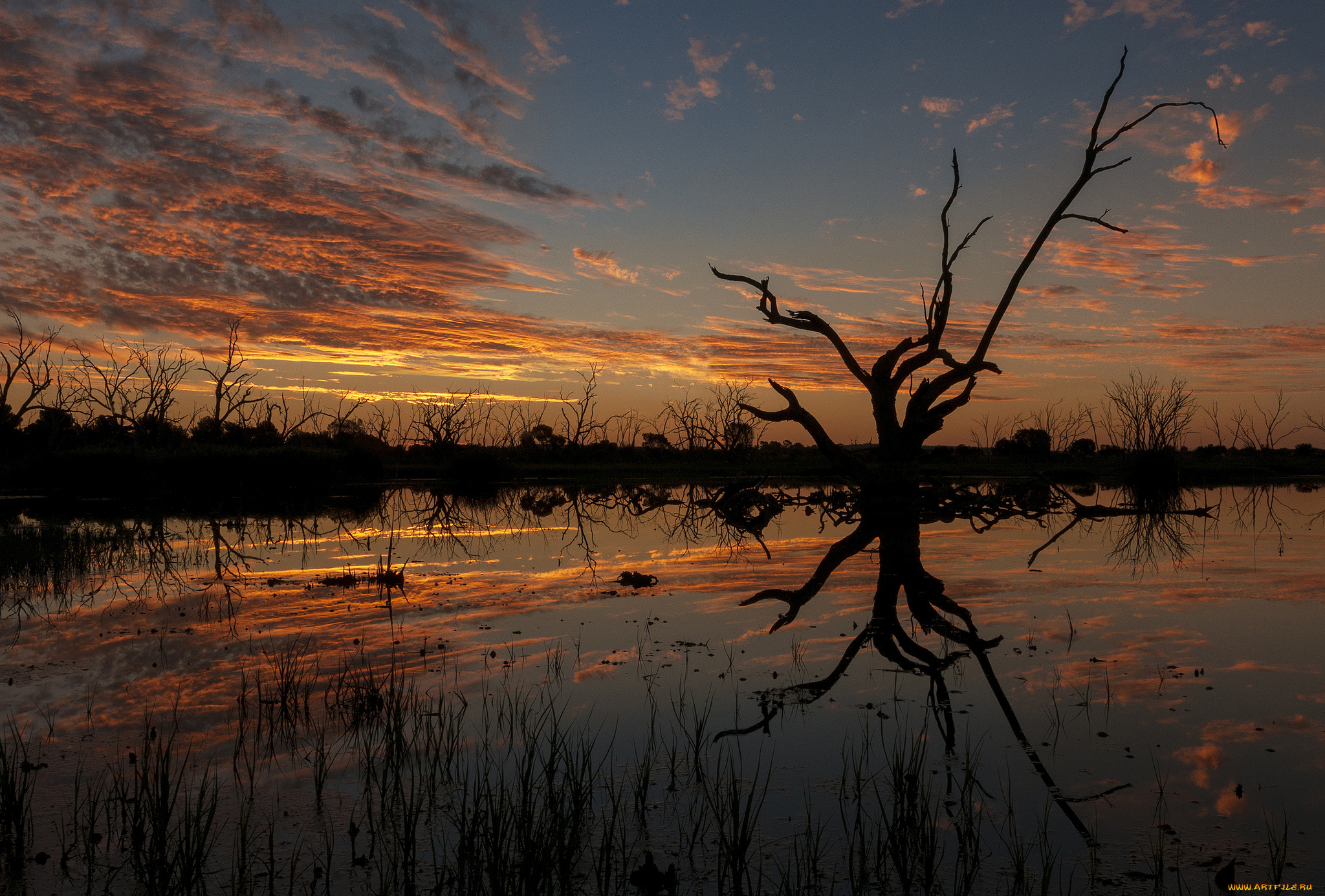 природа, восходы, закаты, рассвет