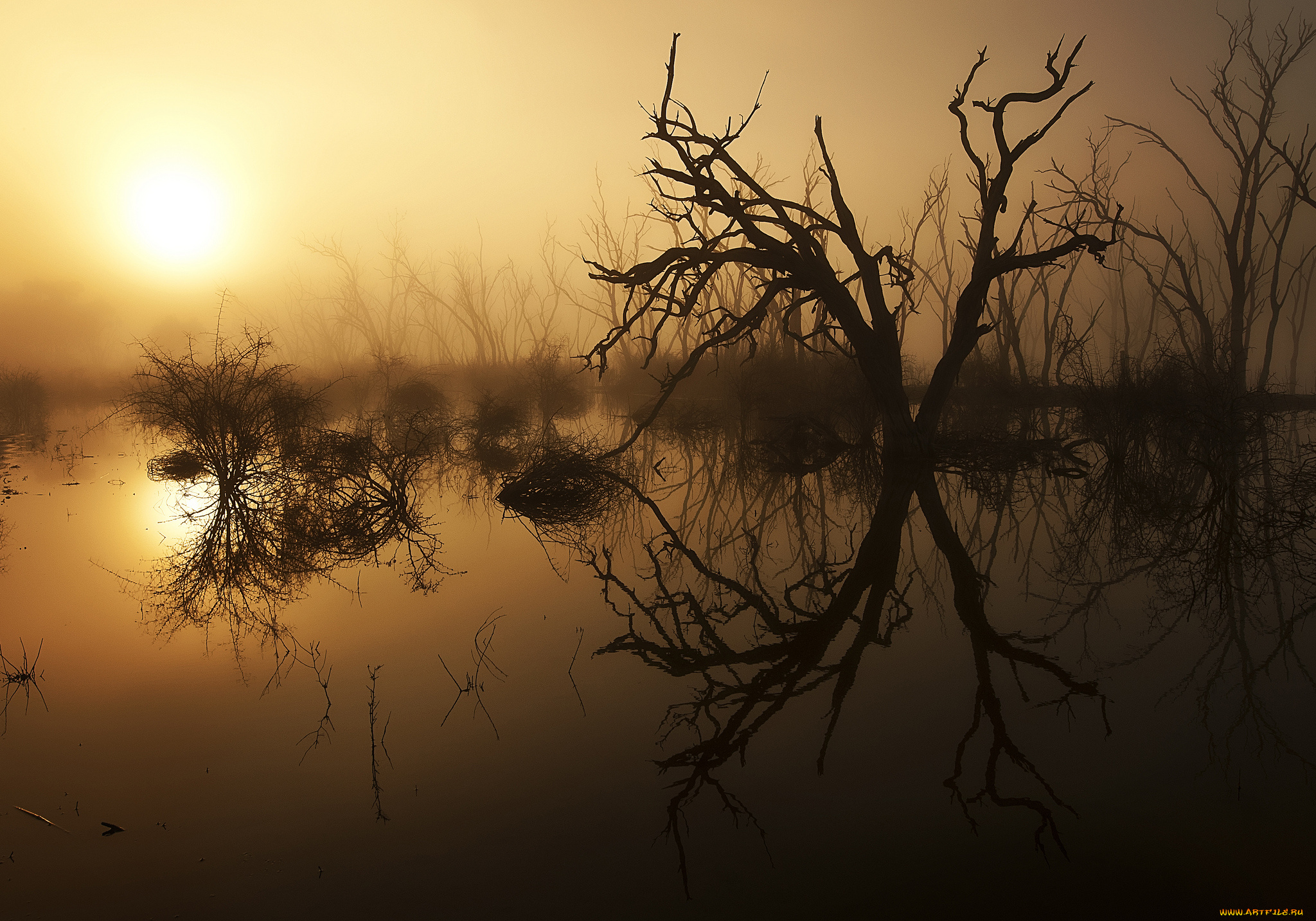 природа, восходы, закаты, рассвет